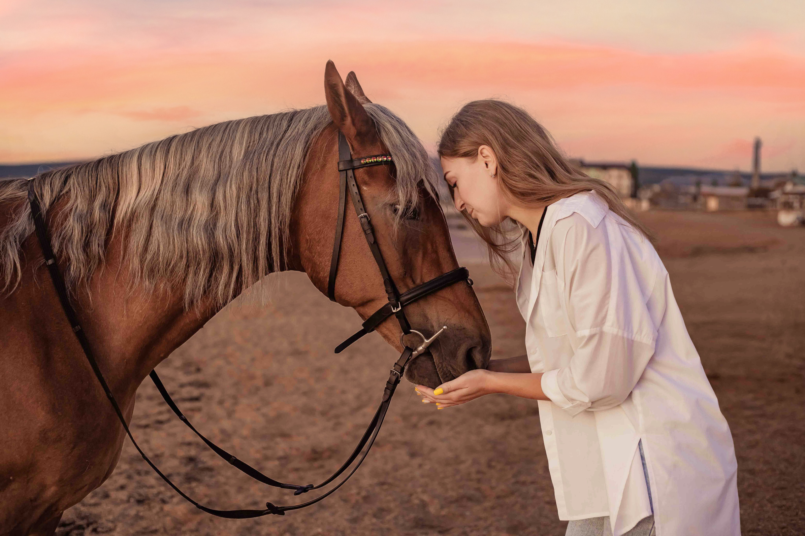 Фотосессия на море с лошадью. Фотограф в Феодосии Наталья Булгакова