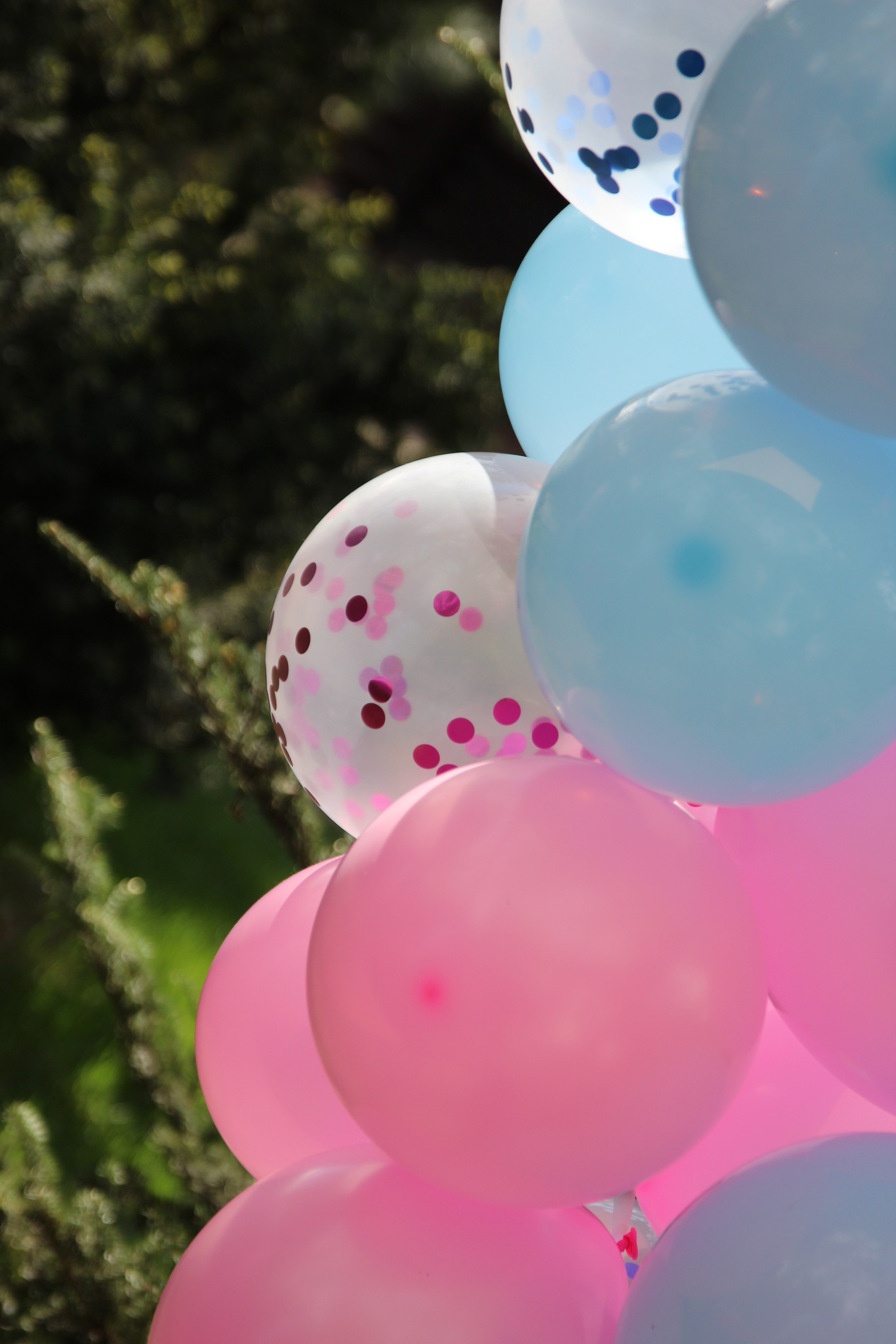 Гендер-пати в Мытищах. Ваш личный фотограф в Москве Мила