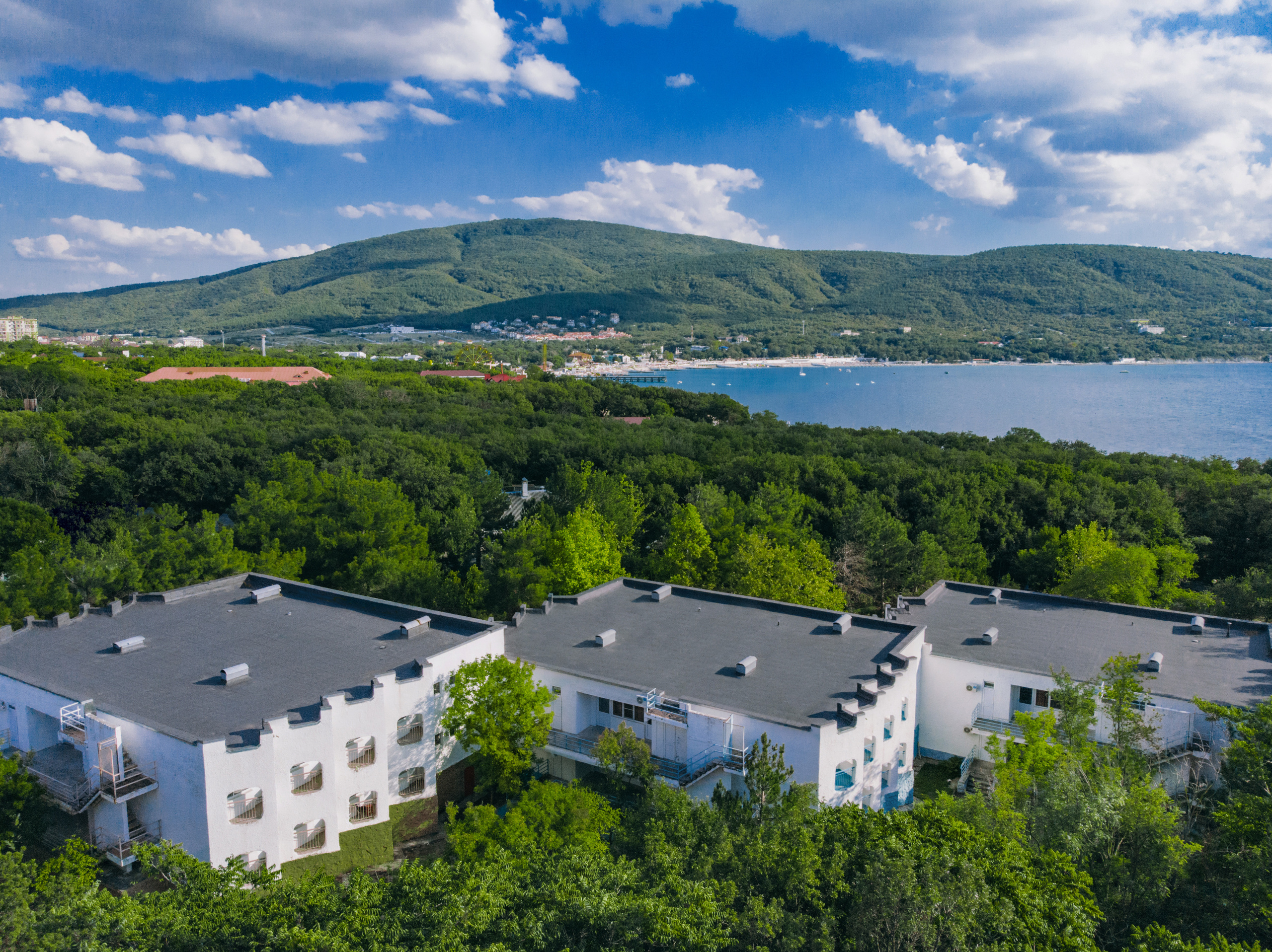 Вид с воздуха на жилые корпуса детского лагеря Альбатрос, зеленые холмы, море, бухта Кабардинки, пихтовая роща