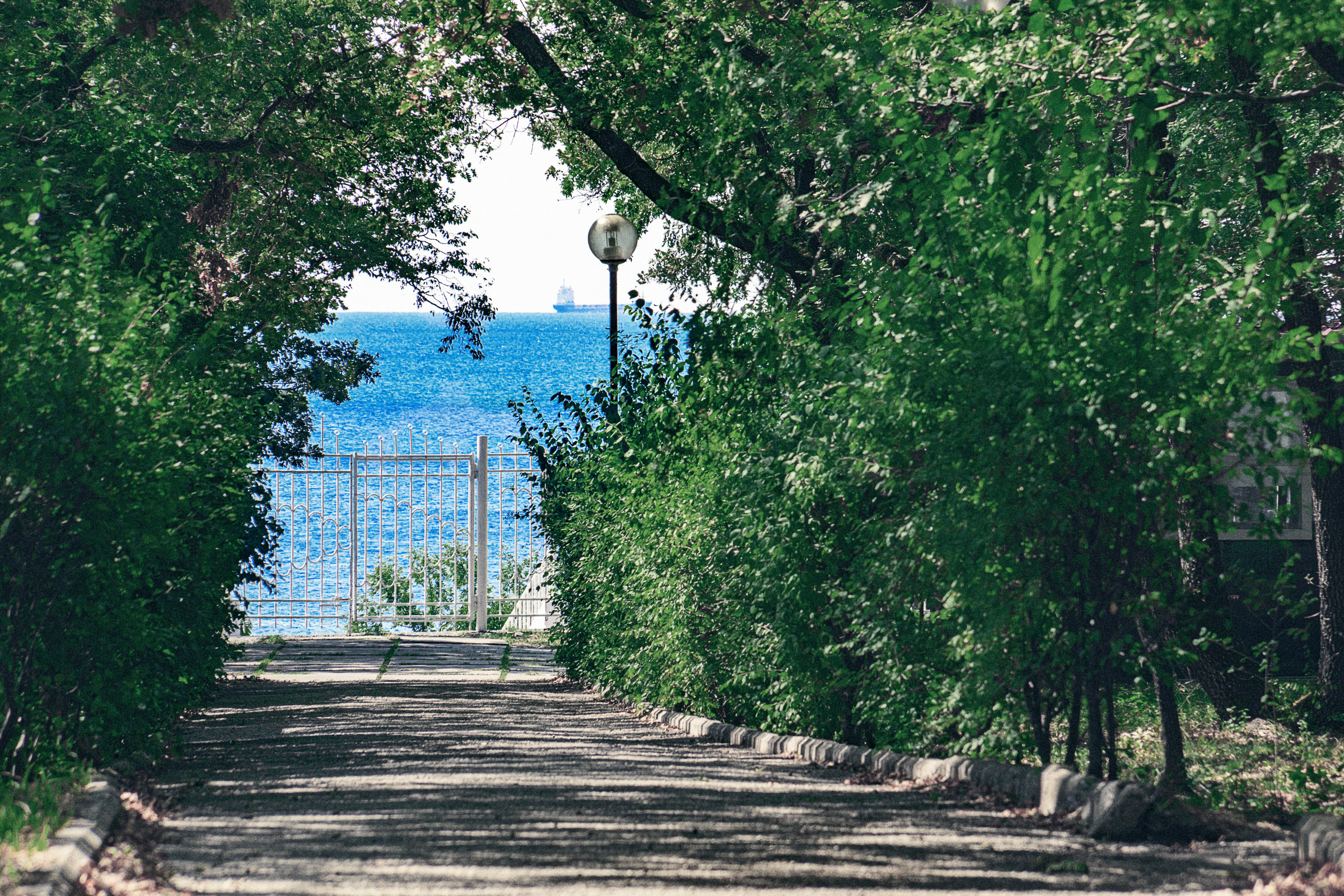 Дорога от лагеря к морю, вокруг деревья, впереди всего в нескольких метрах за калиткой голубое море