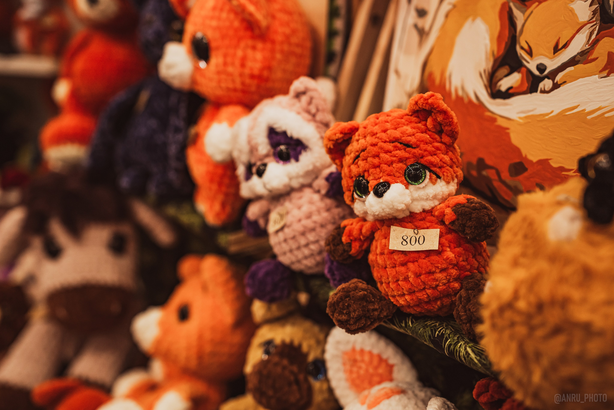 Fox Family fest. Репортажный фотограф Анастасия Рубцова