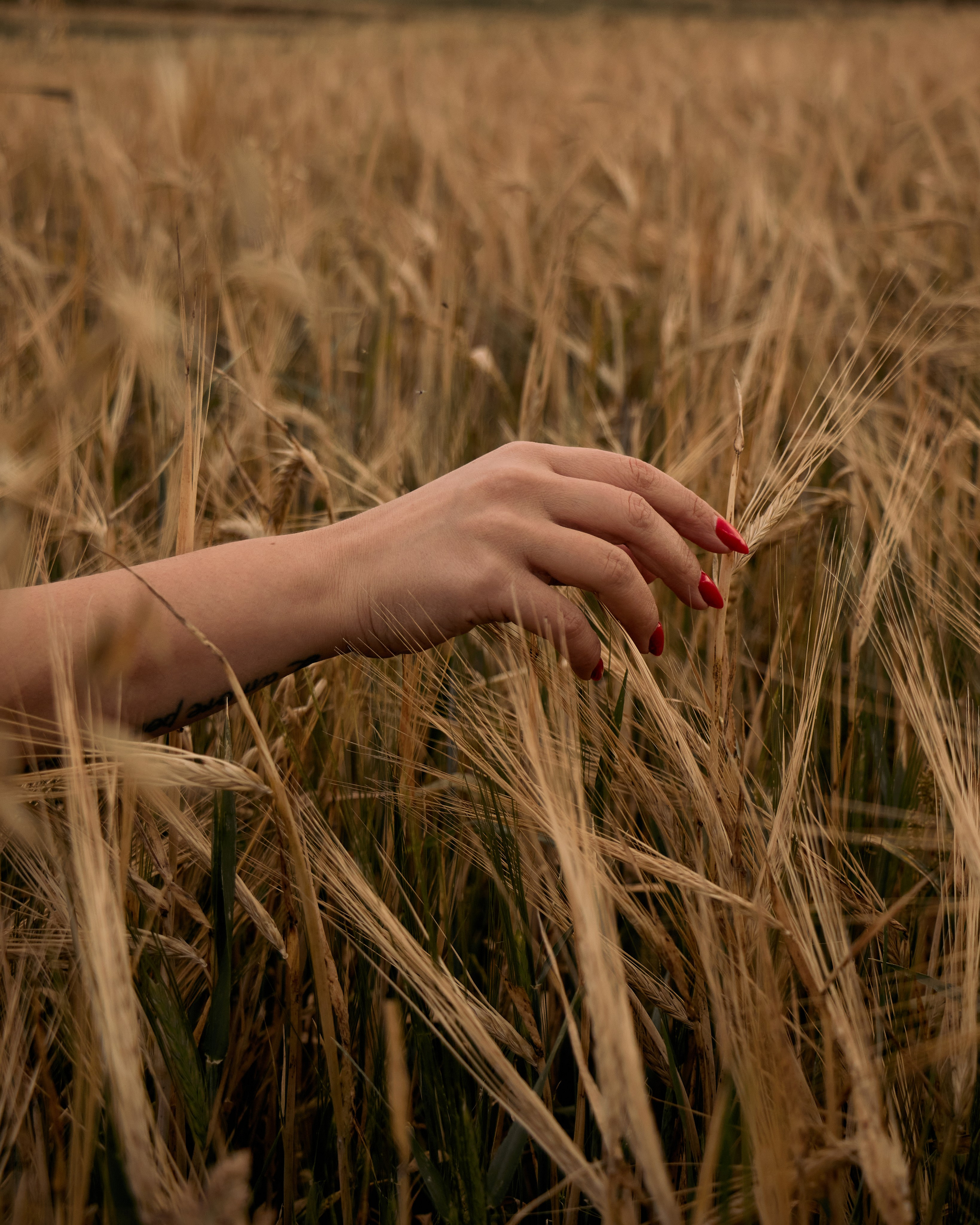 Валерия. Фотограф Стилист Тюмень Вера Хайруллина
