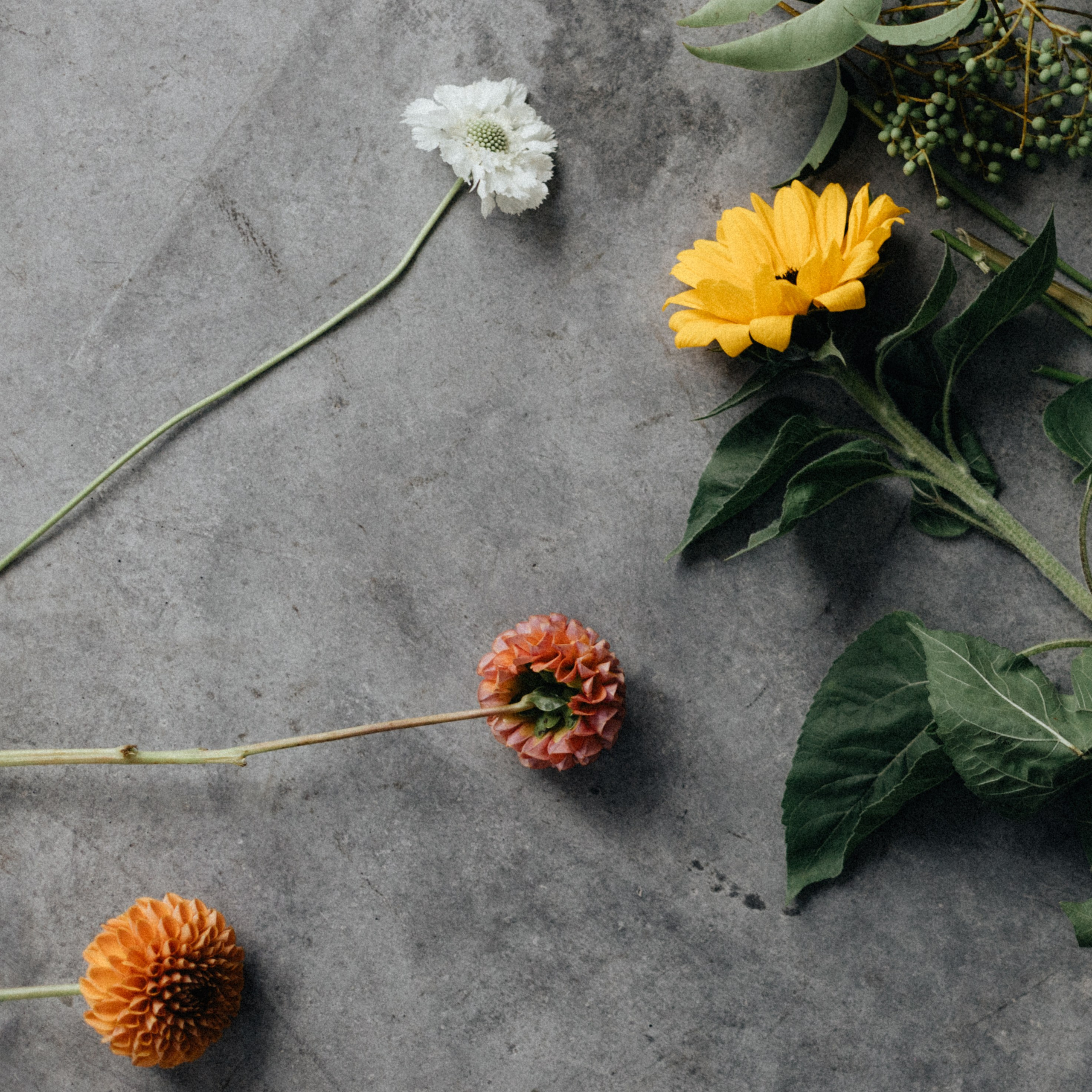 Анастасия. Свадебный фотограф Максим Яненко в Волгограде