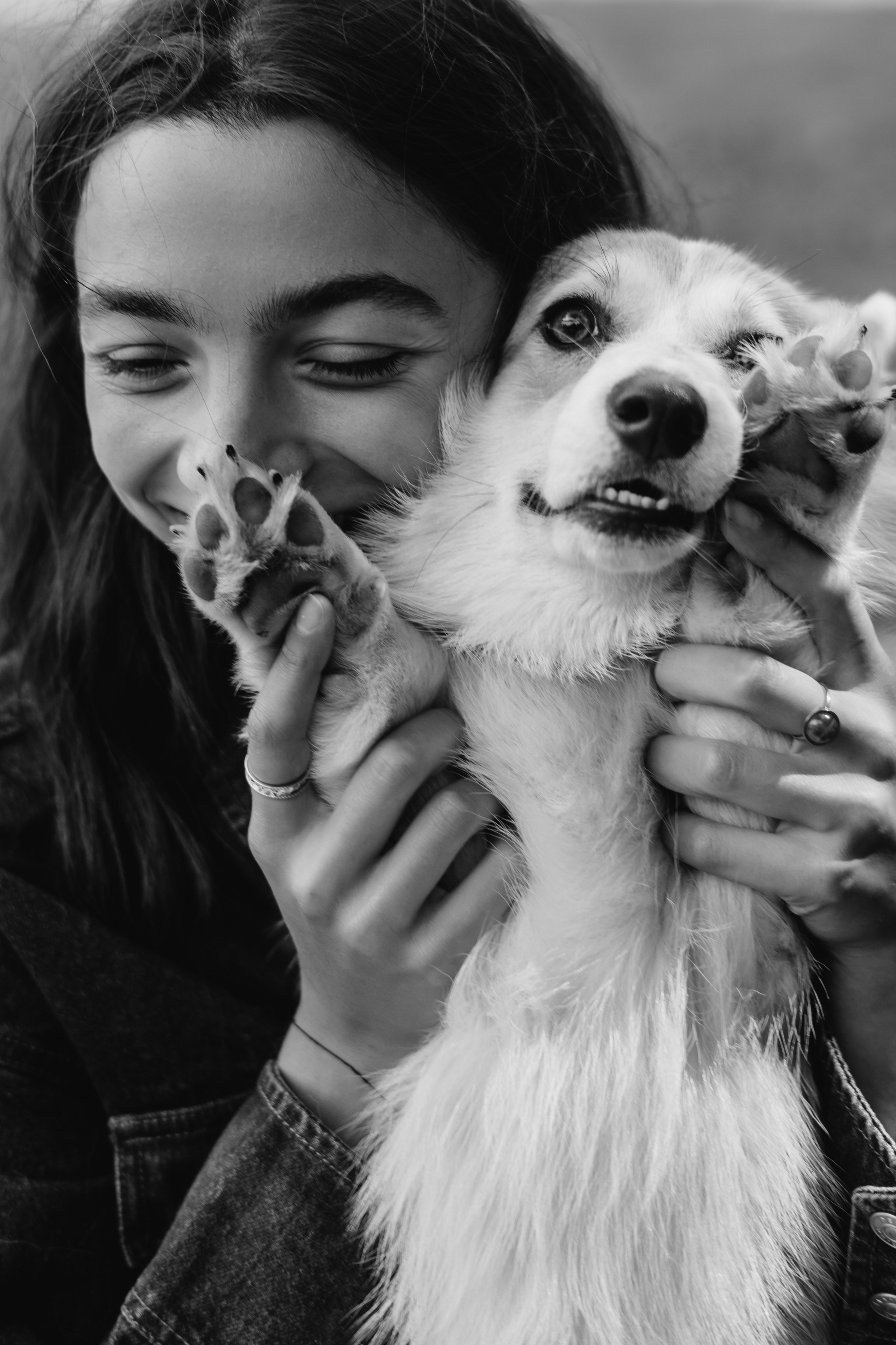 Фотосессия с собакой сахалин. Фотограф сахалин