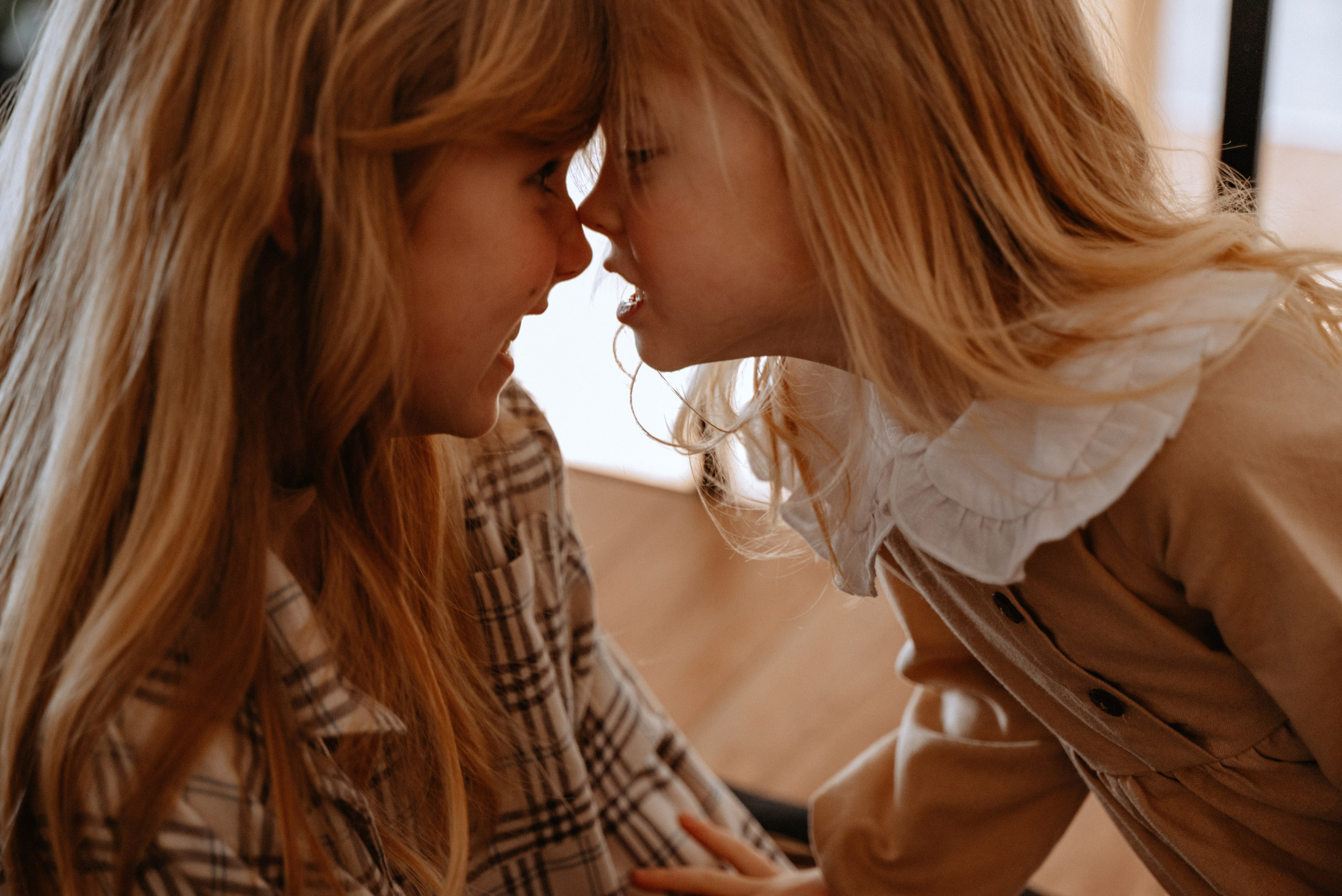 Большая семья