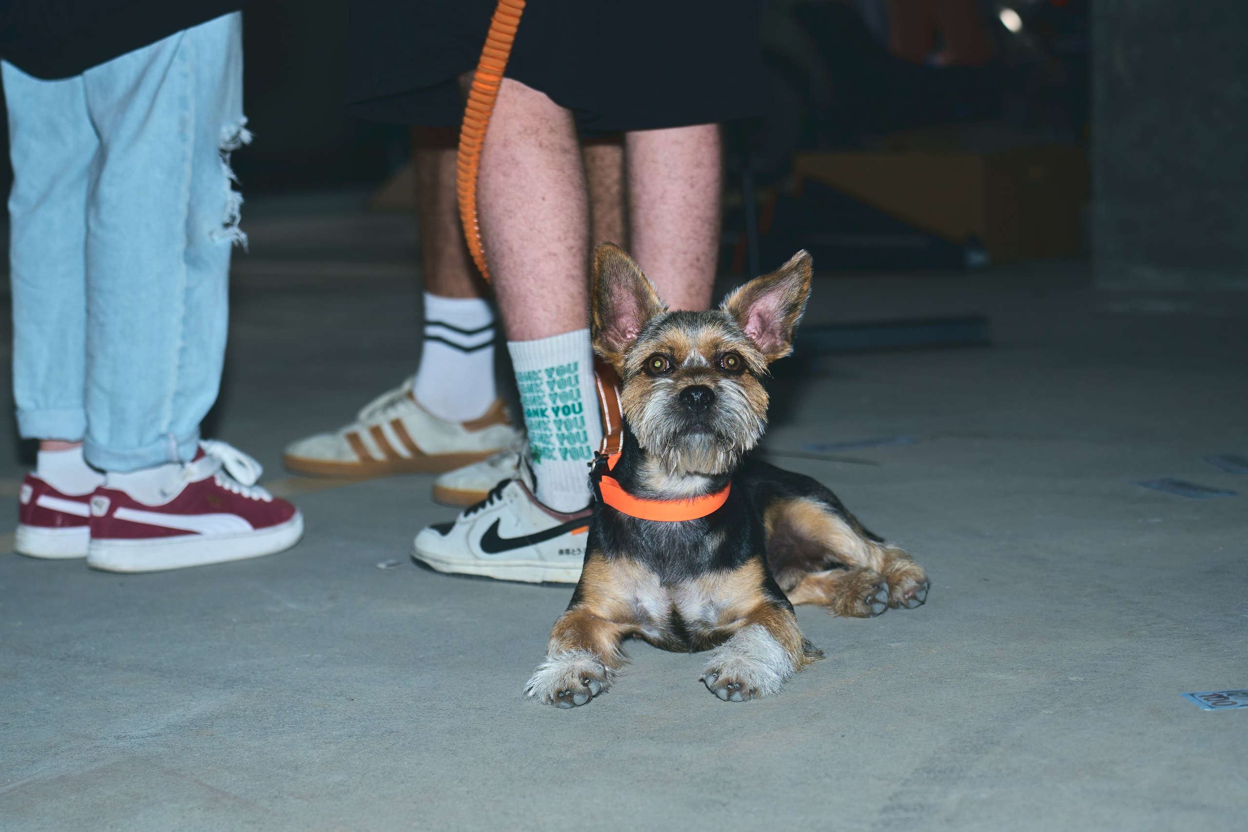 Dollars Car Party. Фотограф во Владивостоке