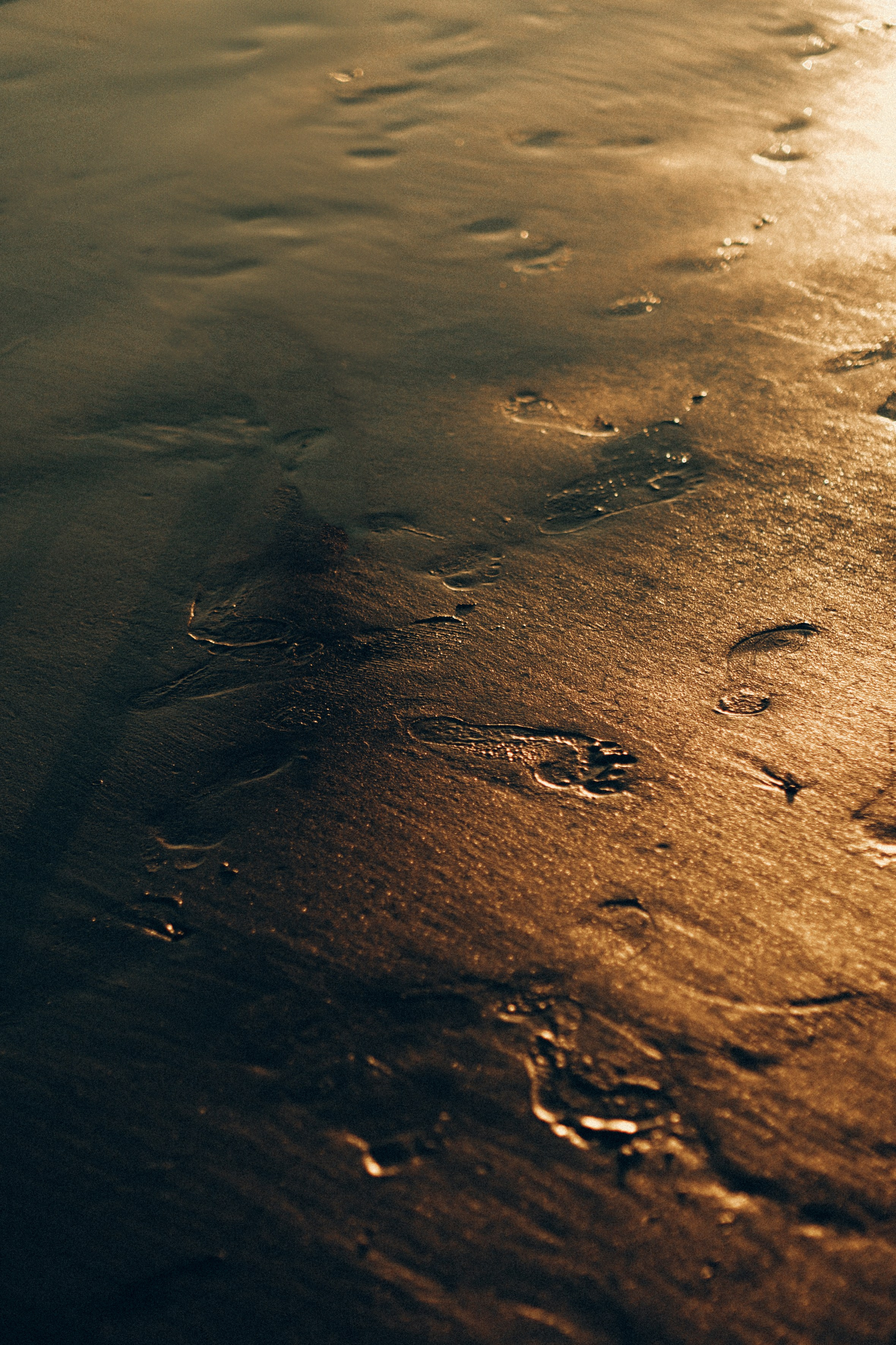 Даша_Егор_Тай. Свадебный и семейный фотограф Барнаул Рубцовск Бийск Алтайский край