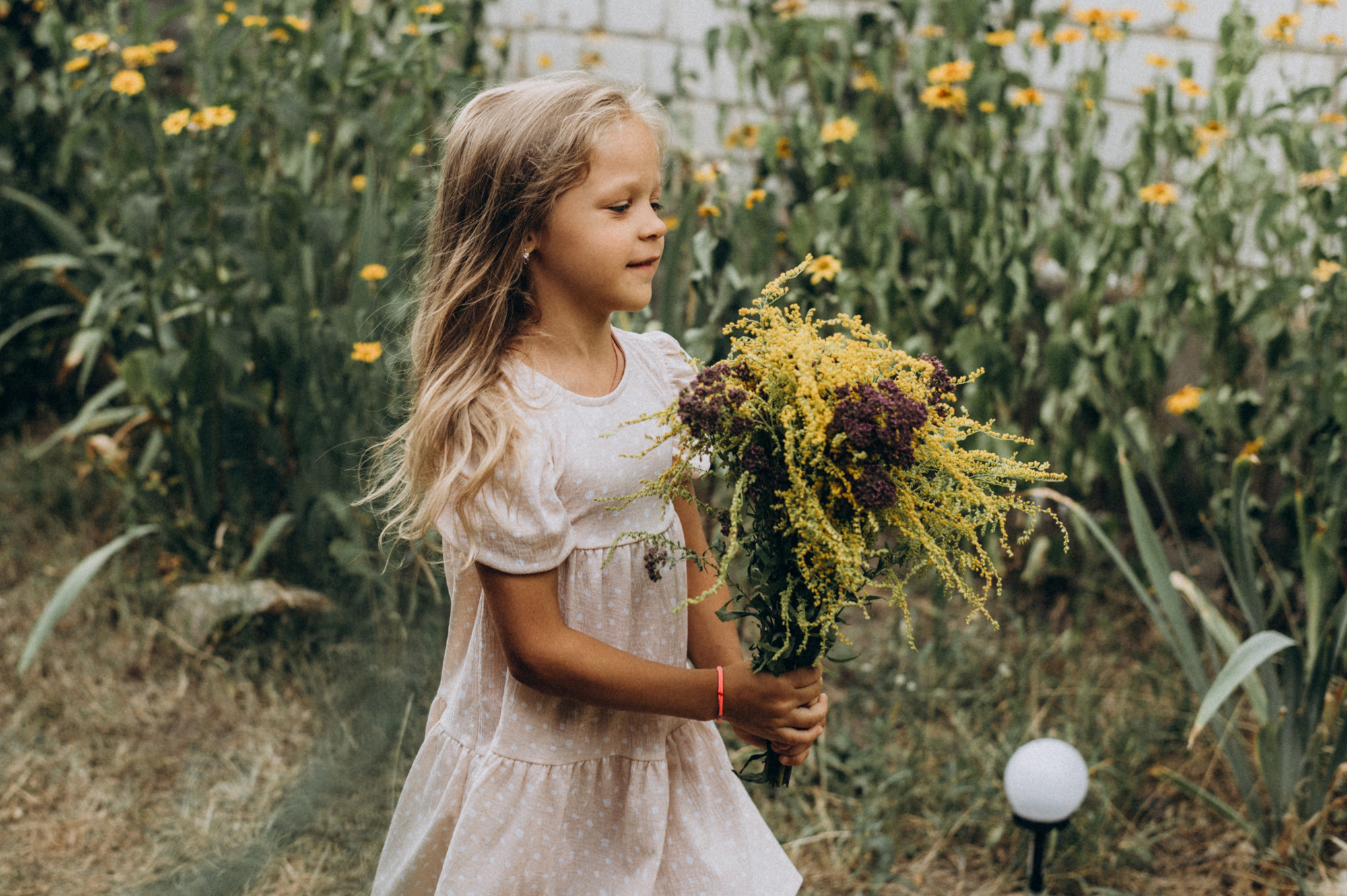 Лето. Фотограф Милка Татьяна