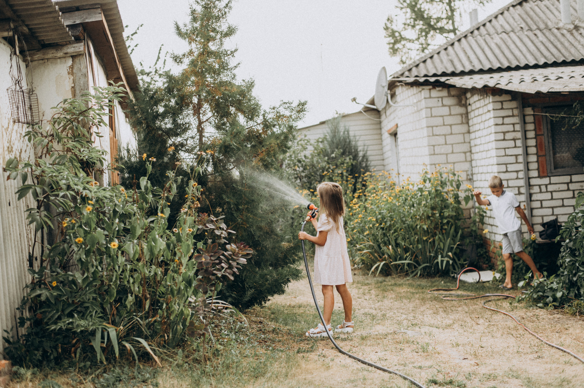 Лето. Фотограф Милка Татьяна