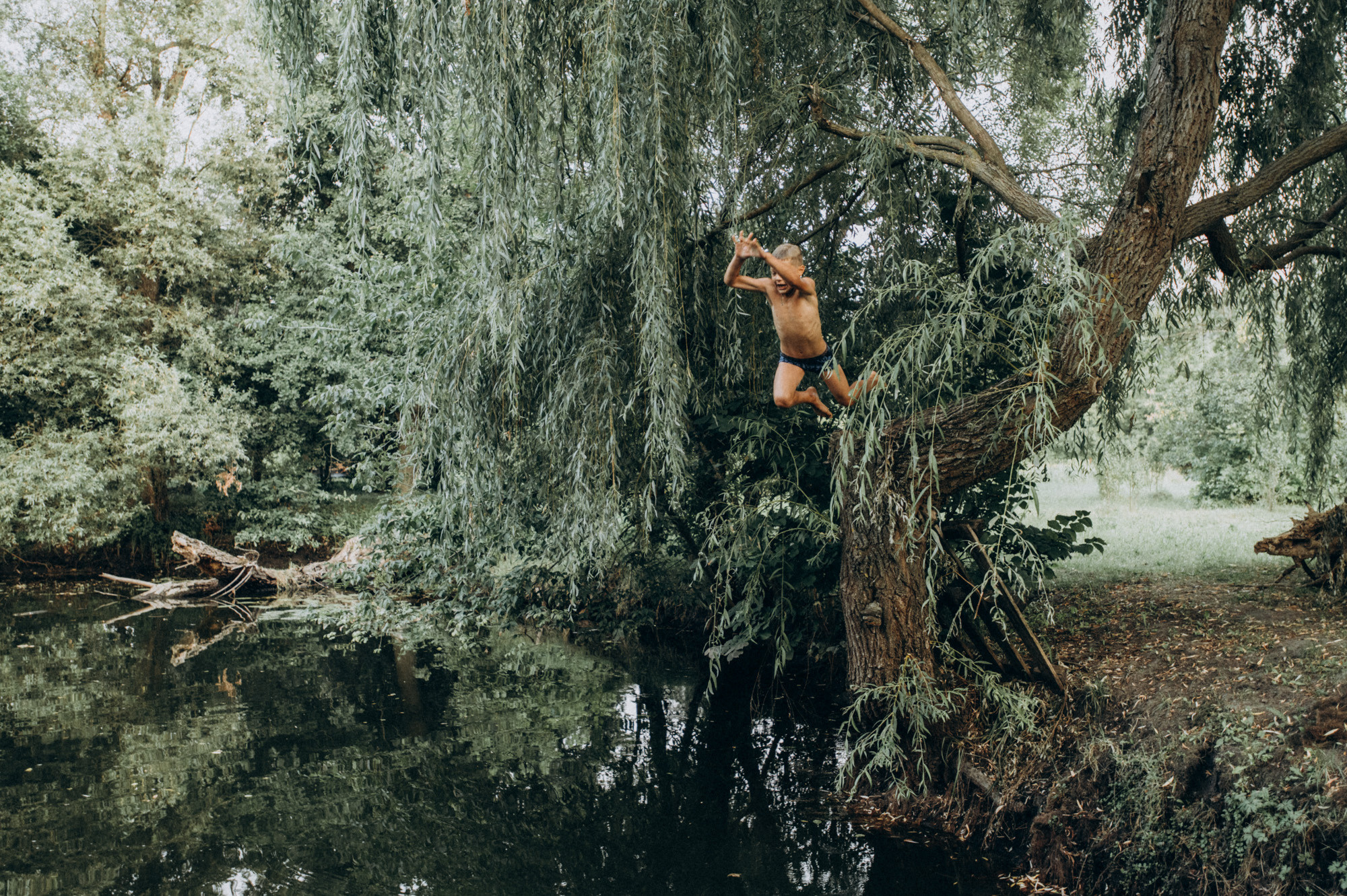 Лето. Фотограф Милка Татьяна