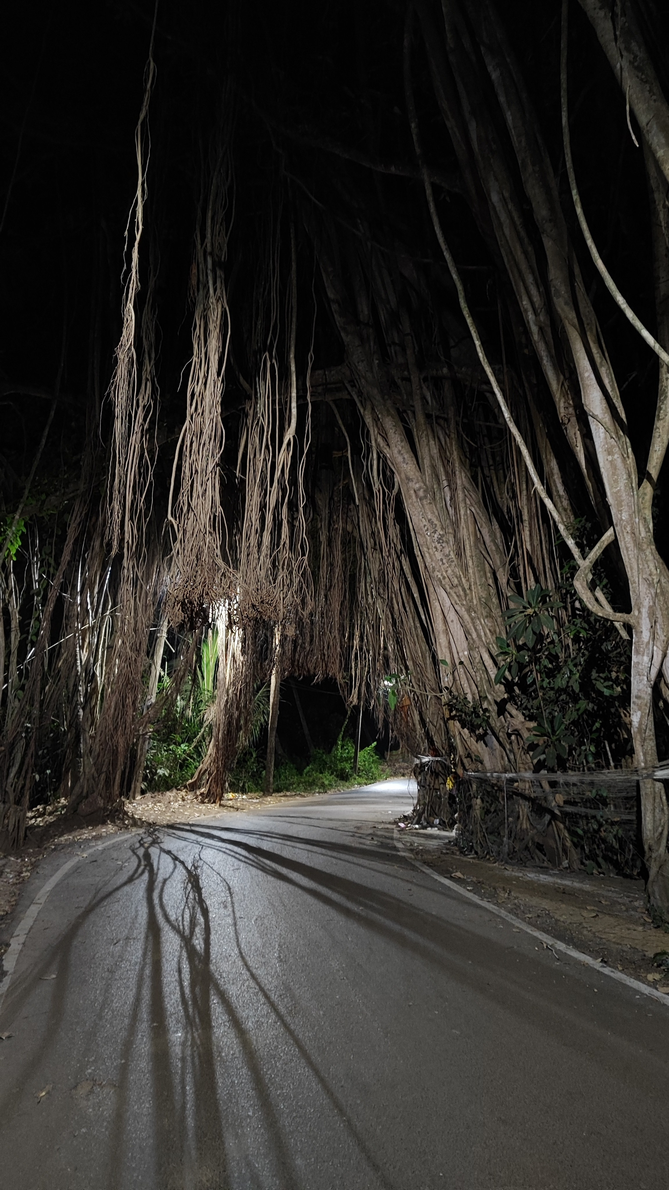 Индия. Живые снимки! Фотограф Даша Бендер