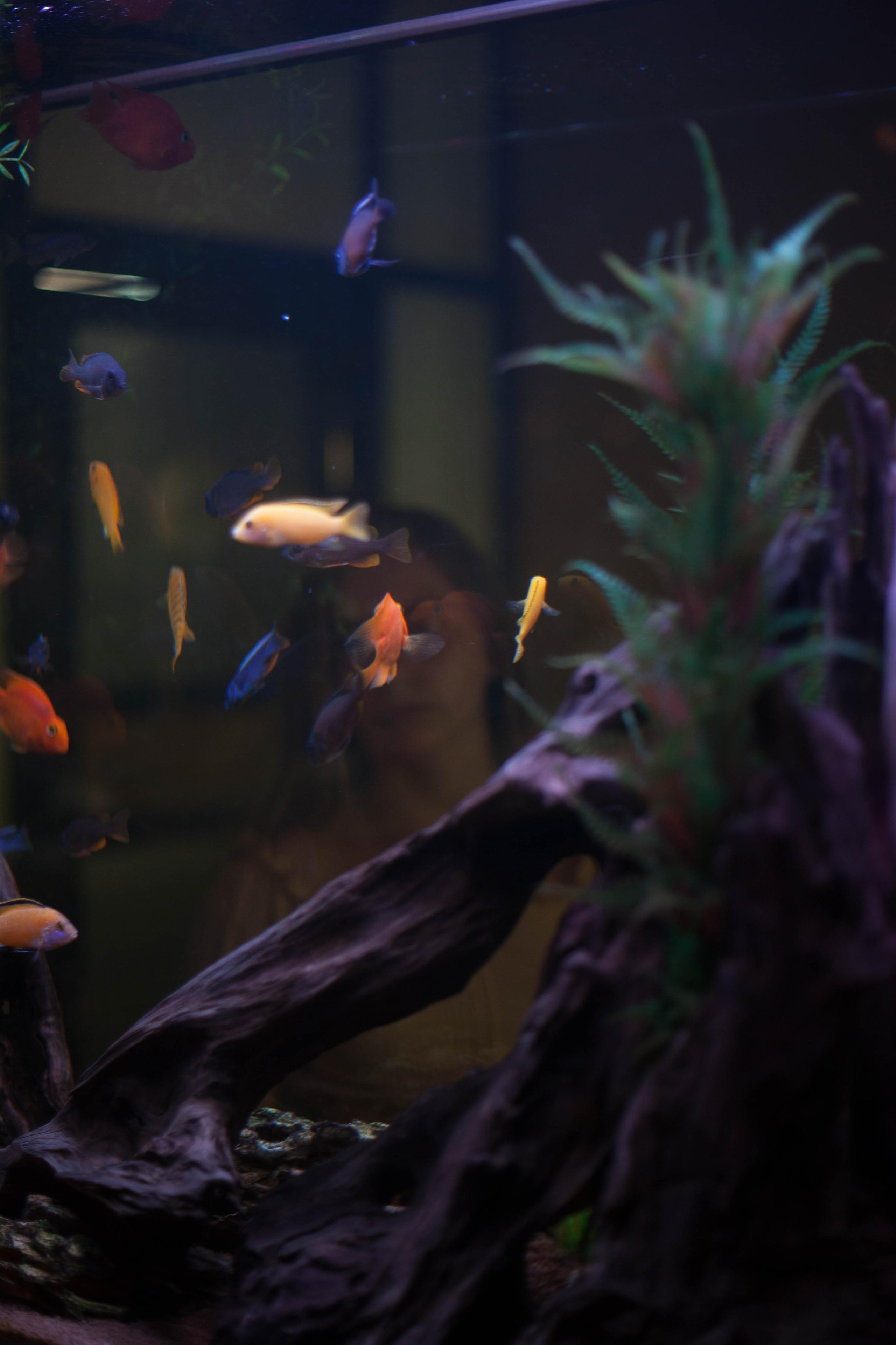 Имиджевая серия для начинающего бизнес блоггера. Ваш фотограф Любовь Чистякова