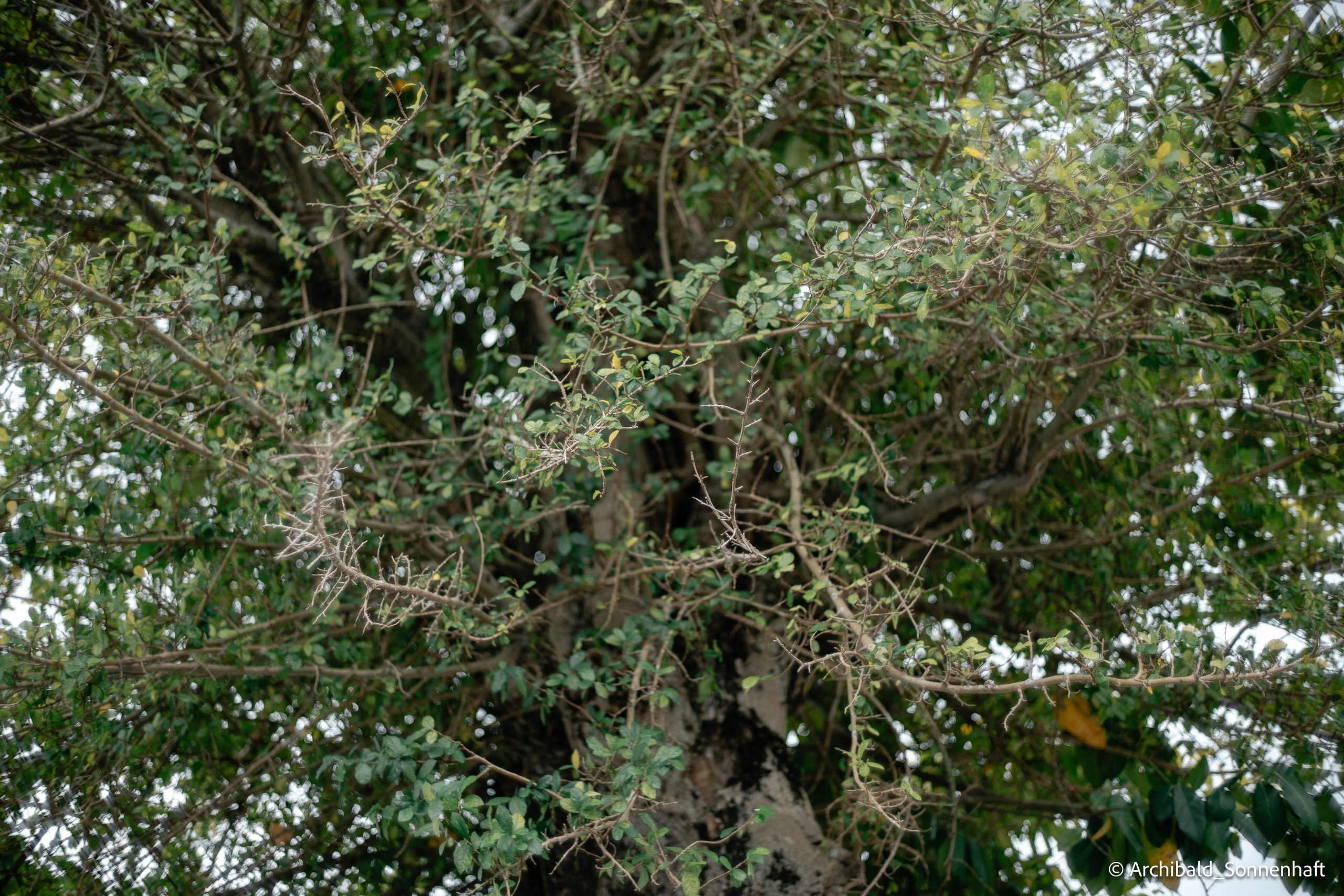 Kayaking in Huizhou, China. Photographer in Guangzhou, China. Archibald Sonnenhaft