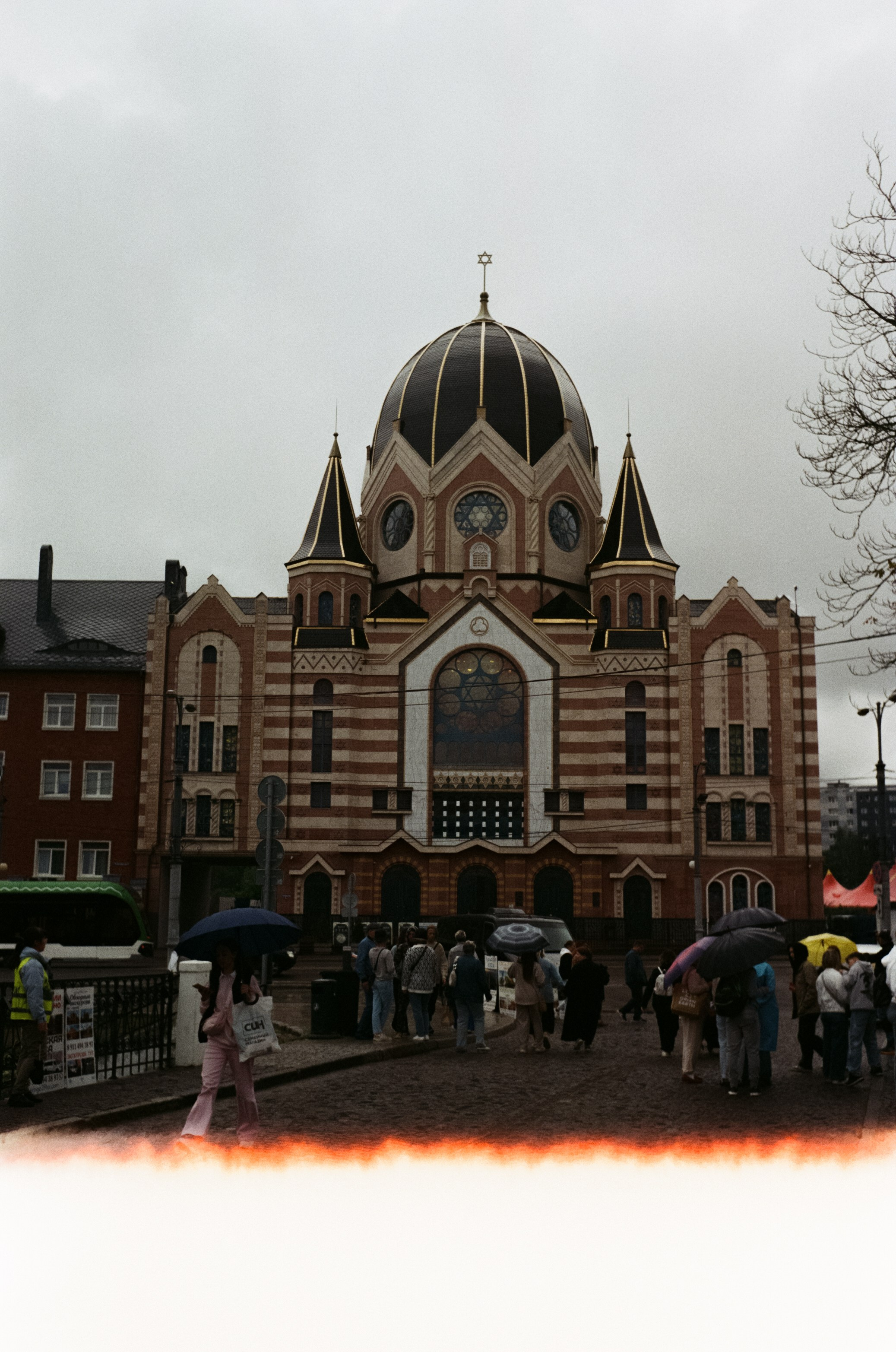 Калининград остров Канта, Кафедральный собор / Minox 35 GT (2)