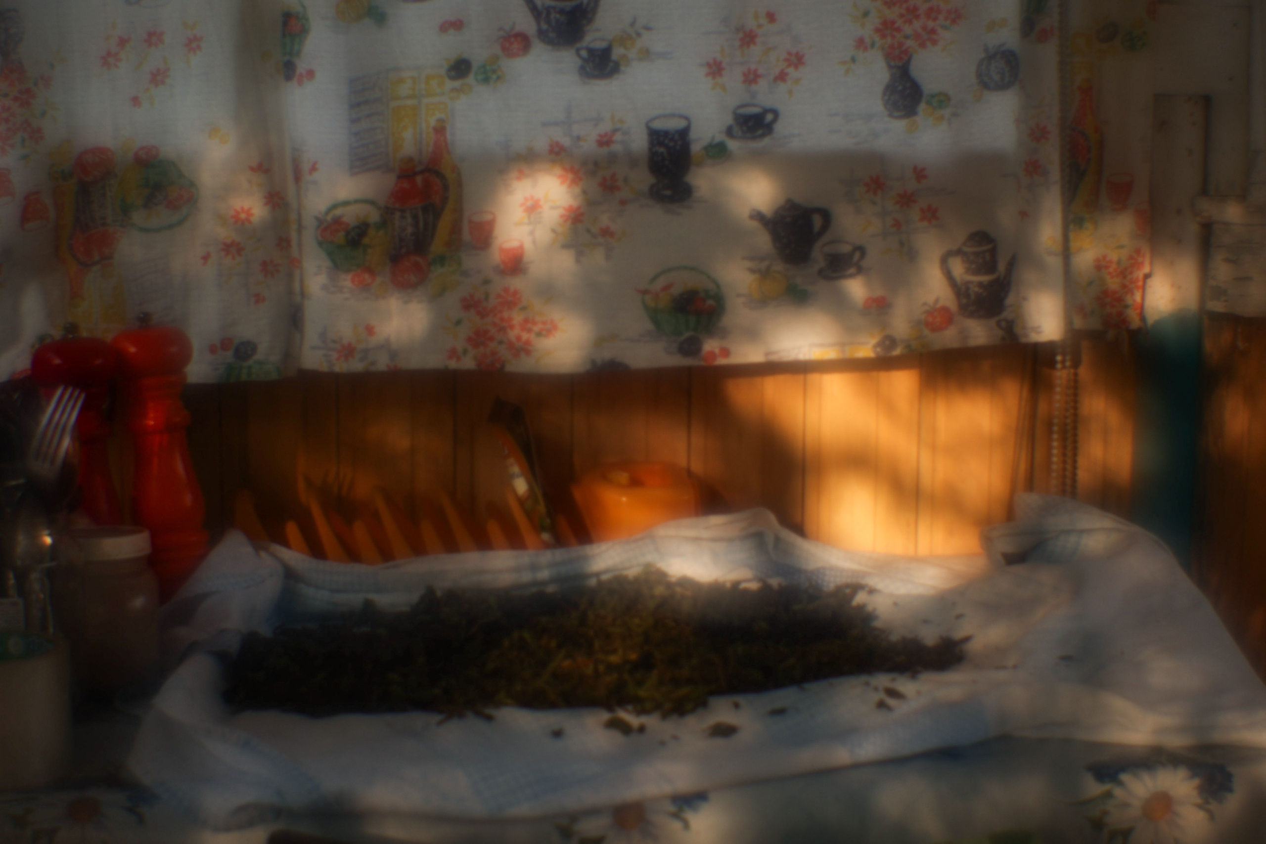 Поэзия повседневности. Семейный фотограф в Москве Марина Аргунова