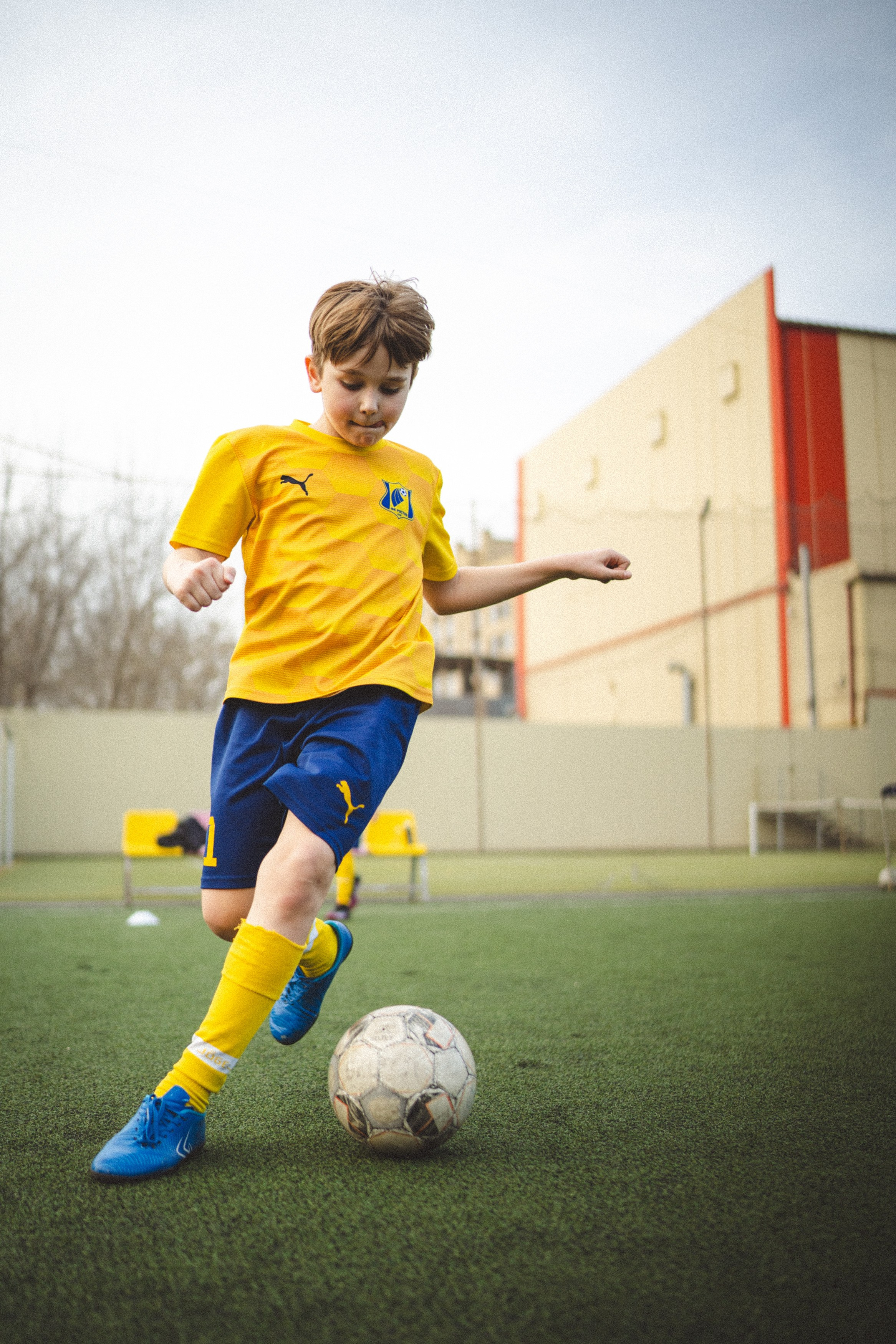Академия ФК «Ростов». Zekons. Фото, видео, нейросети