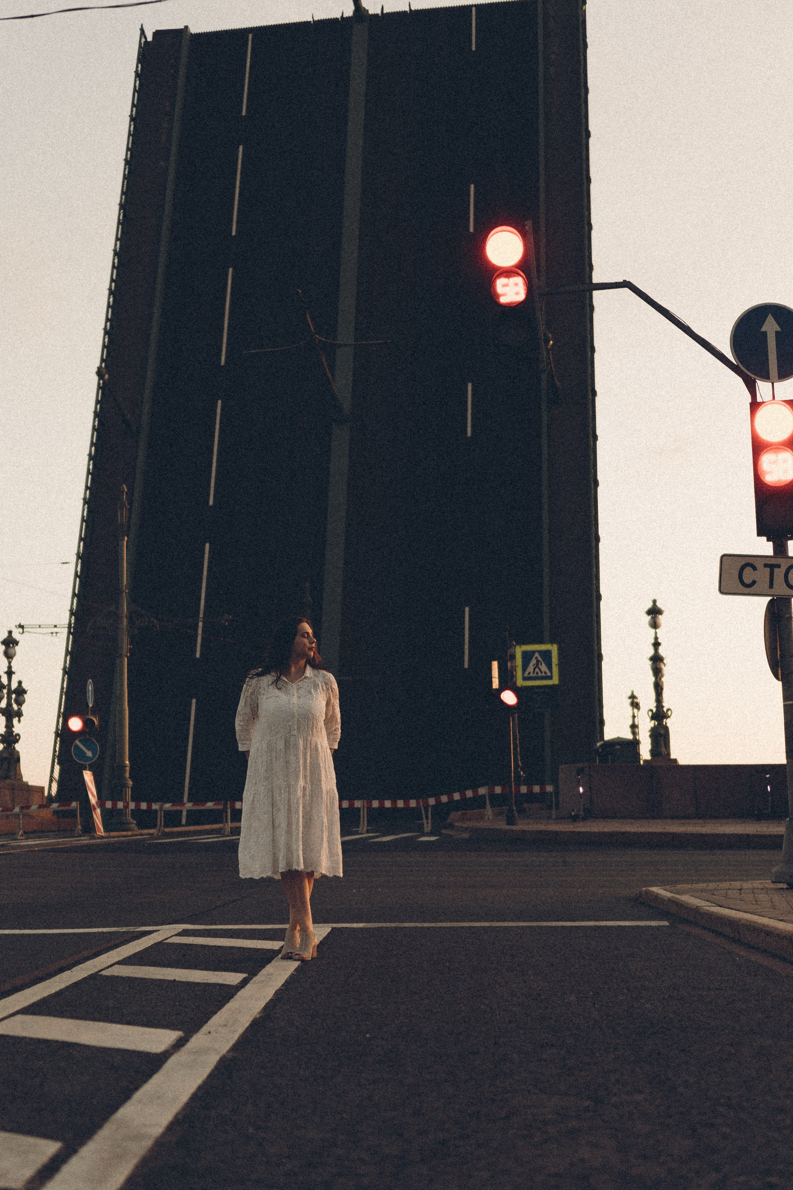 РАССВЕТ С РАЗВОДНЫМИ МОСТАМИ. Профессиональный фотограф, Санкт-Петербург — Виктория Богомолова