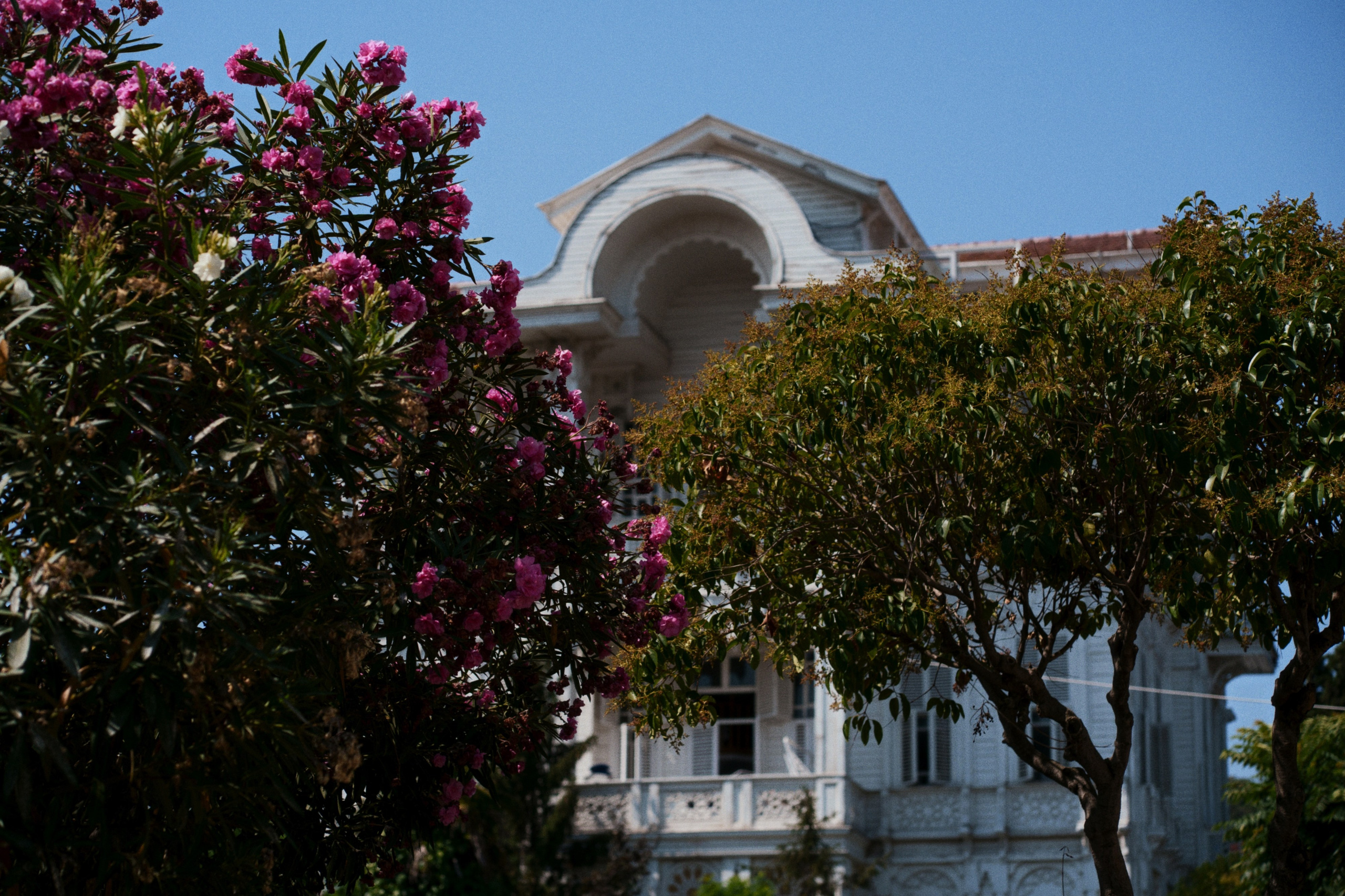 Büyükada х Heybeliada, Istanbul / Türkey SS25. Фотограф Юрин Евгений