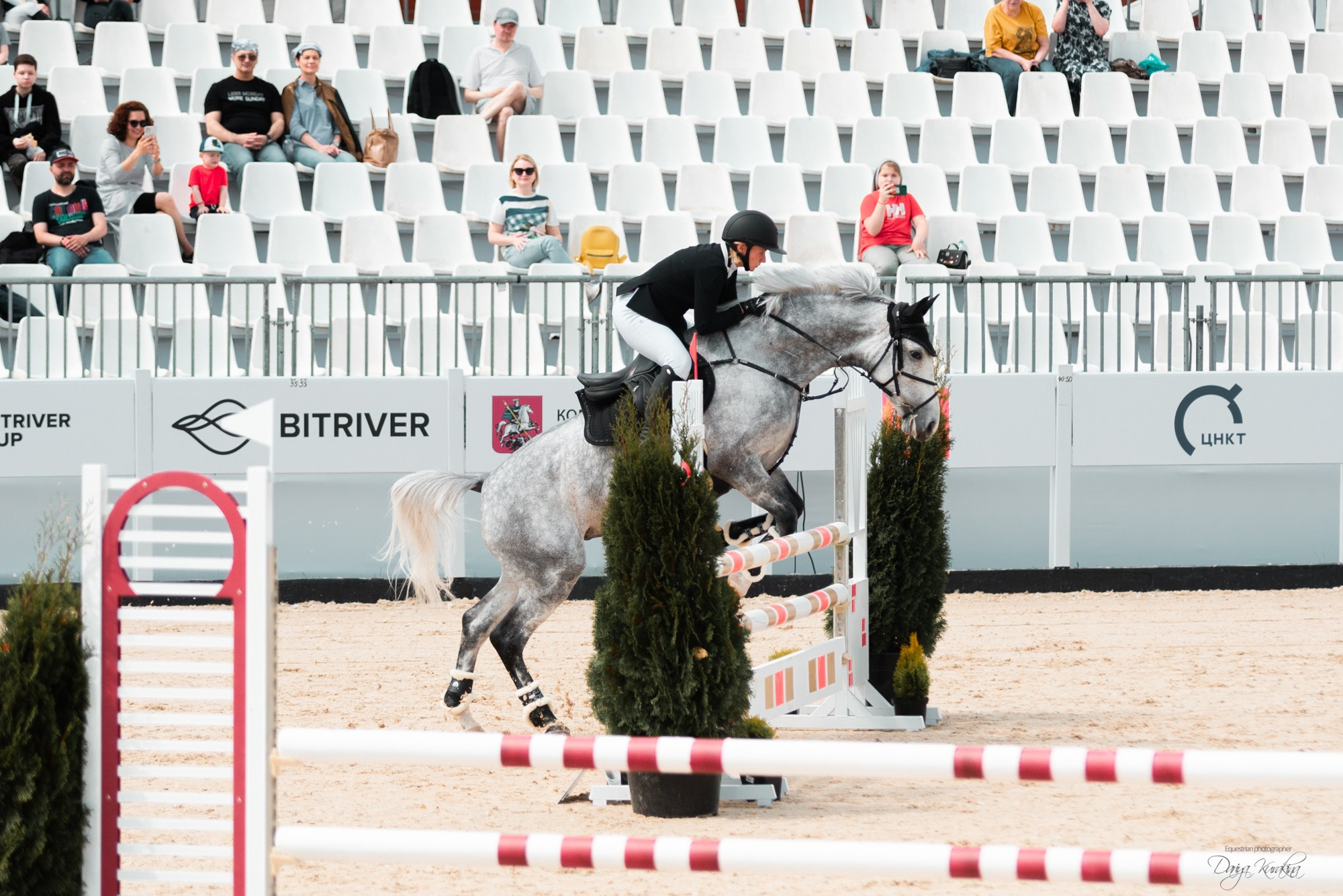 BITRIVER CUP 2023. Конный фотограф Куракина Дарья • Фотосессии с лошадьми