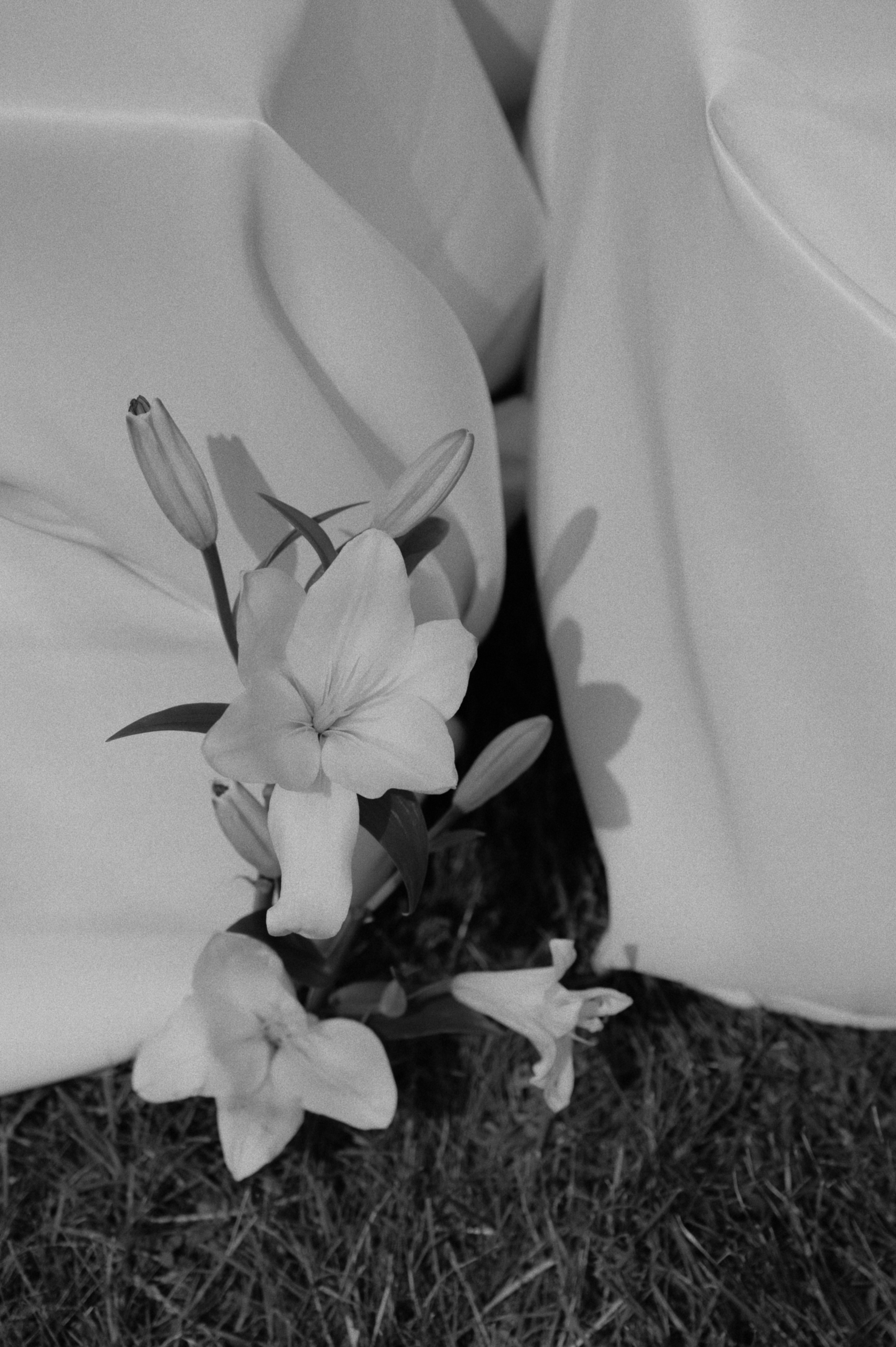 Самая самая. Свадебный фотограф в Минске Тагай Наталья