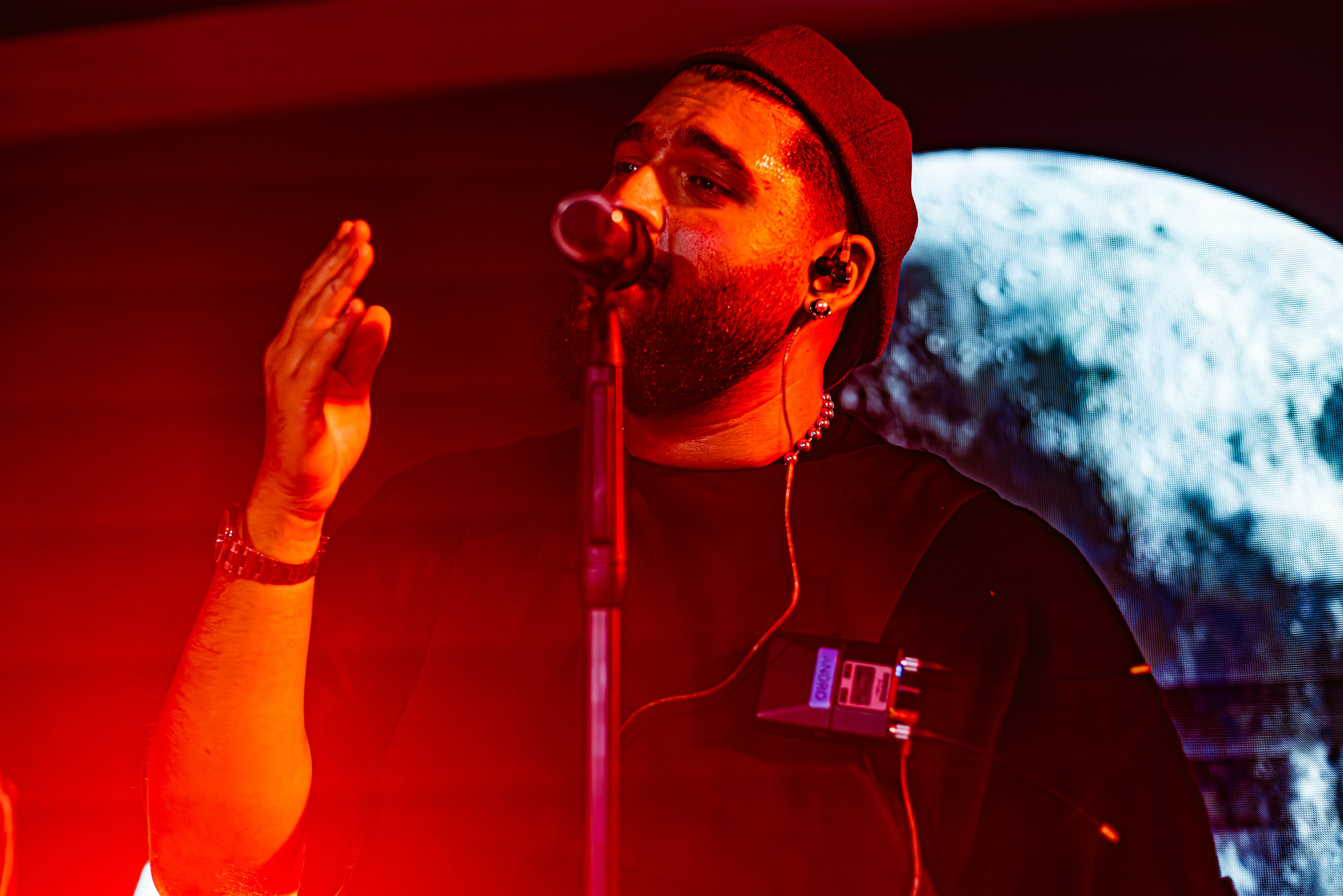 Чайка_на_пляже_Андро_Ялта_24.08.2024. Аминов Руслан | Фотограф