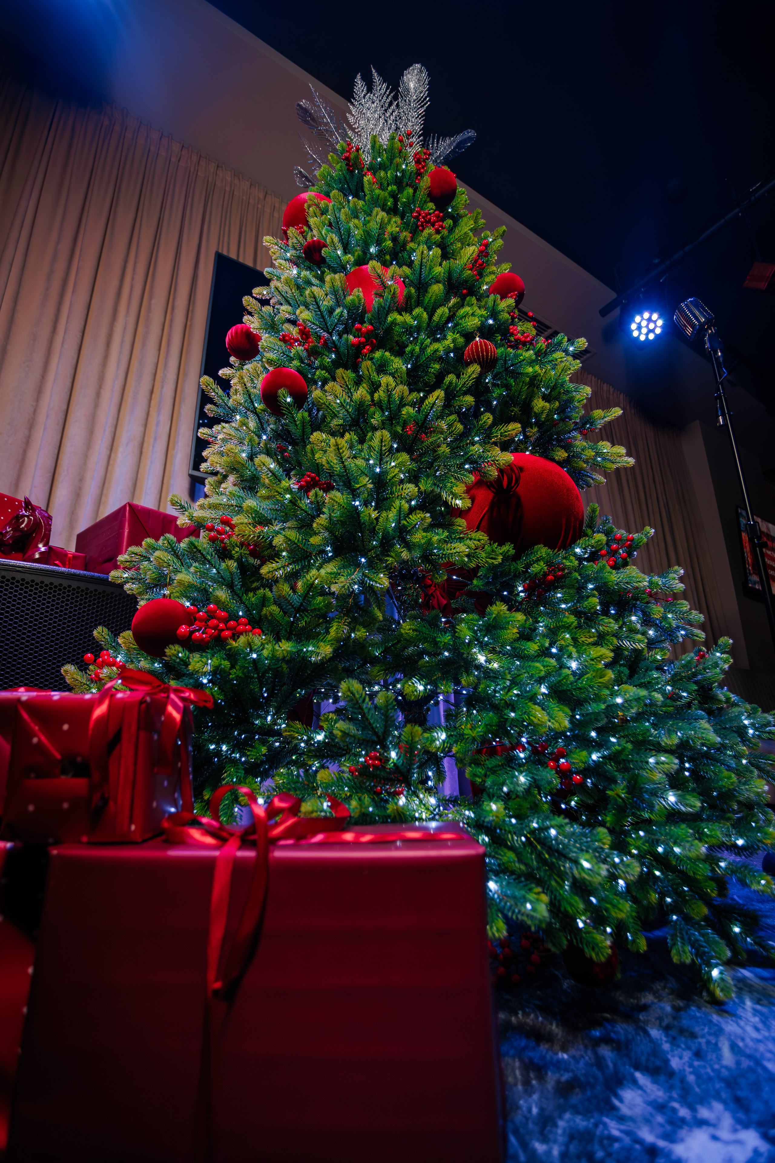 Вечеринка в караоке клубе «IMPERIAL JOY"_Ялта_27.12.2025. Аминов Руслан | Фотограф