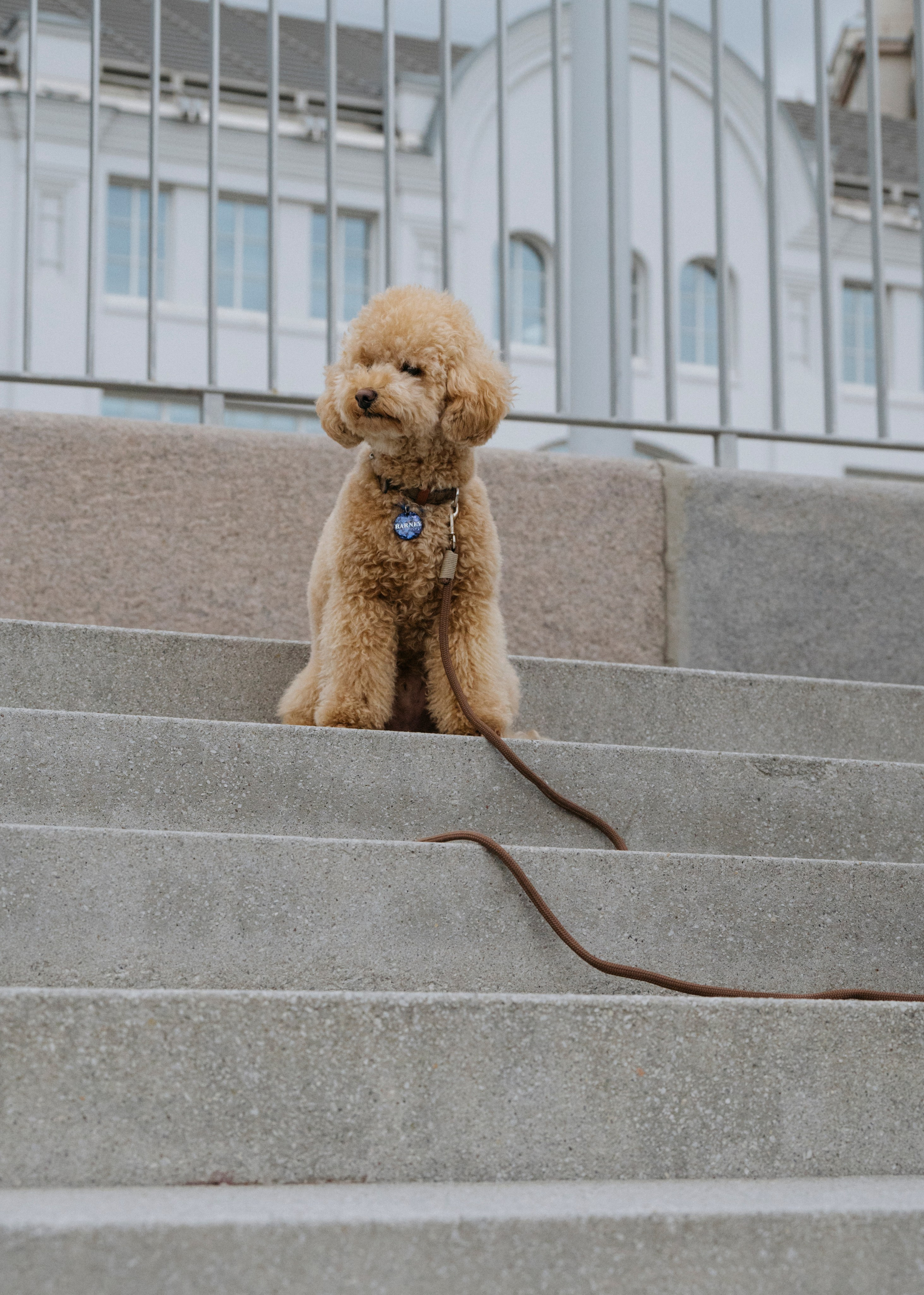 Держись меня. Фотограф- анималист Александра Матвеева