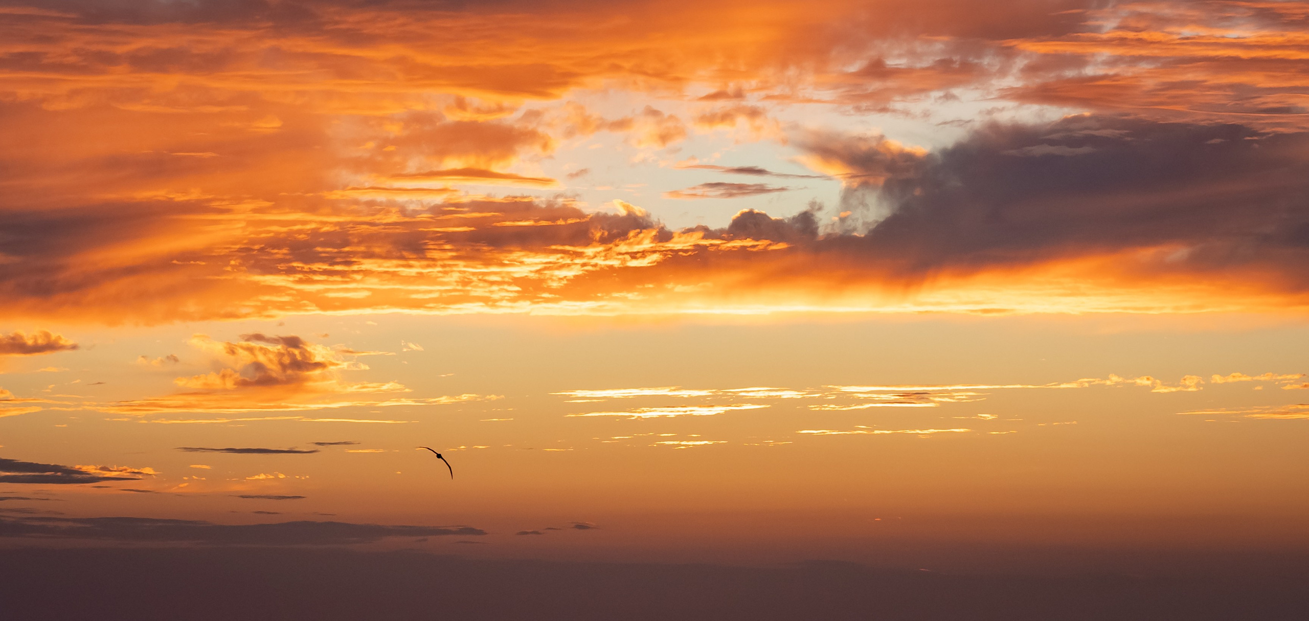 Итуруп. Семейный фотограф Варвара Сорока в городе Москве
