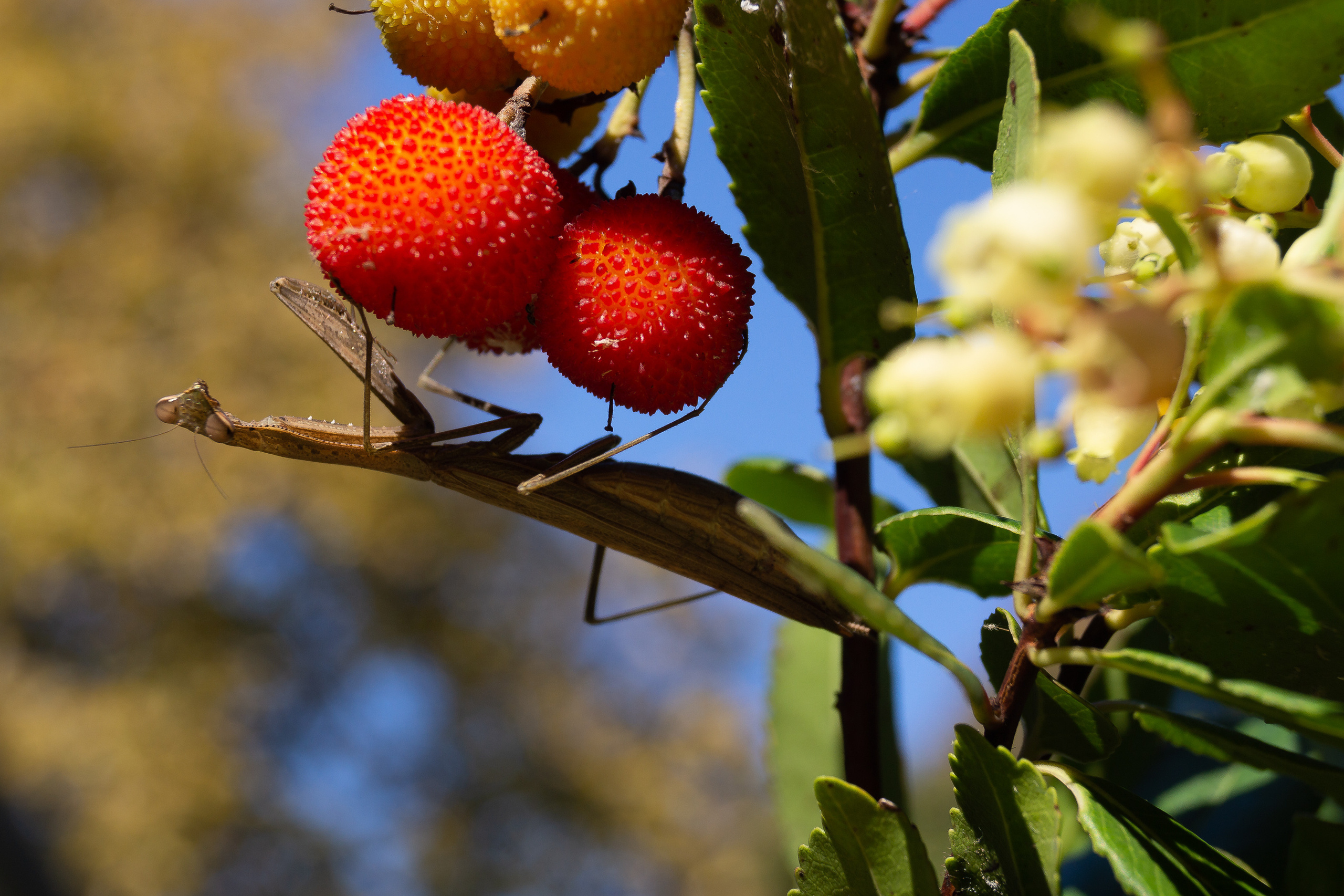 Фотографии Сочи, глазами гида-фотографа. Фотограф в Сочи Елена Лисотина. Фототуры в Сочи