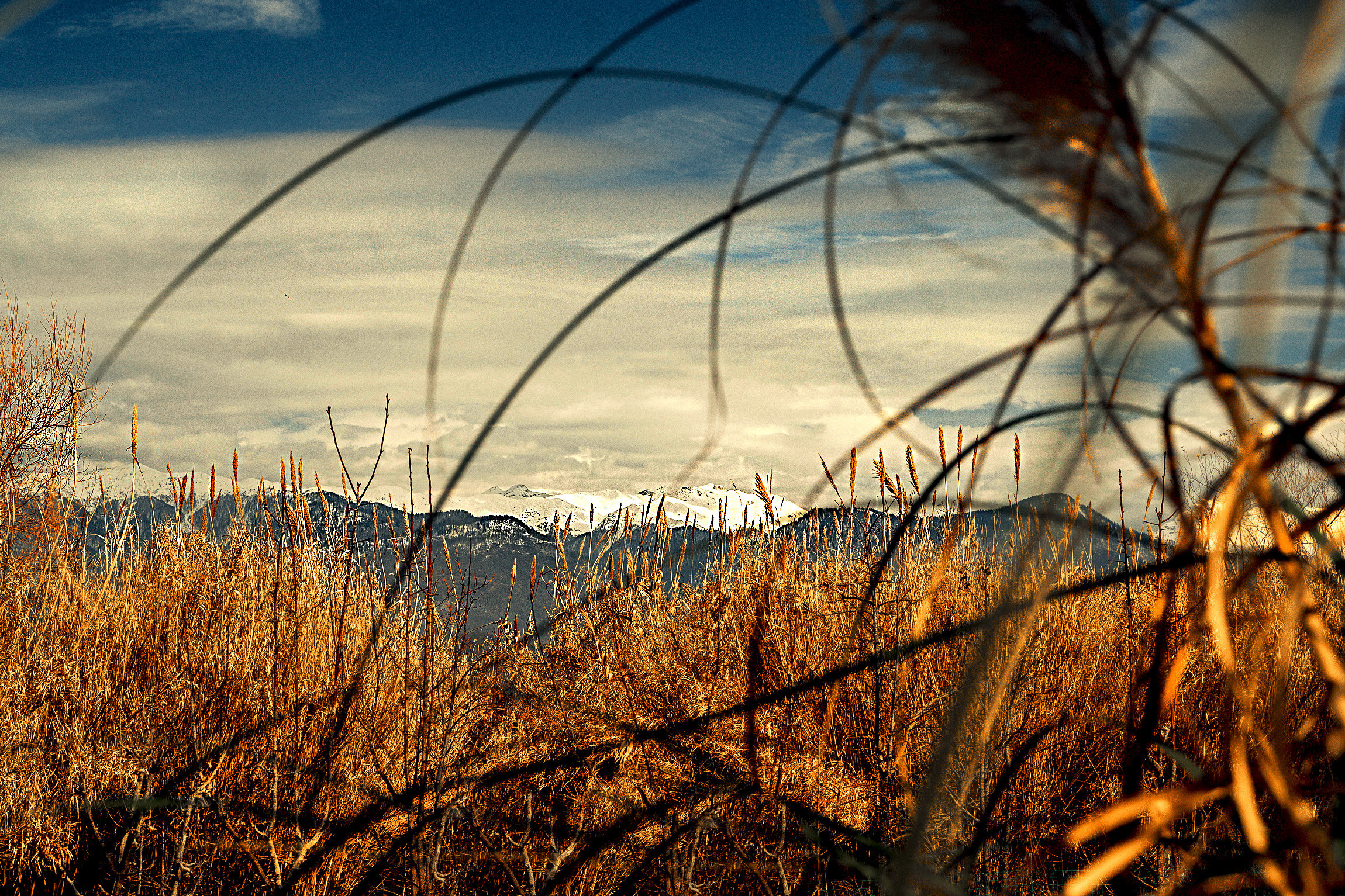 Фотографии Сочи, глазами гида-фотографа. Фотограф в Сочи Елена Лисотина. Фототуры в Сочи