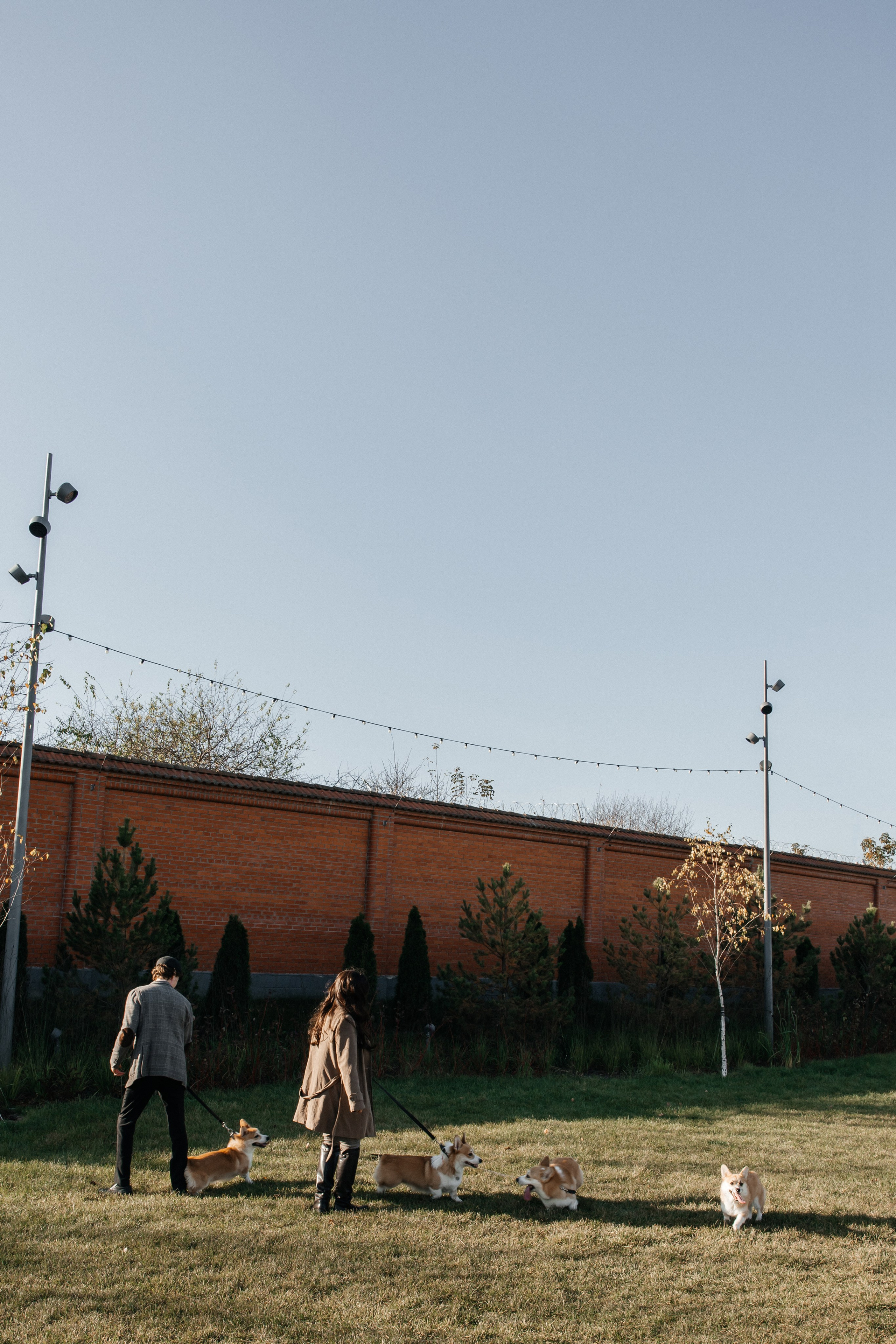 Orange love. Свадебный и портретный фотограф Казань | Белебей