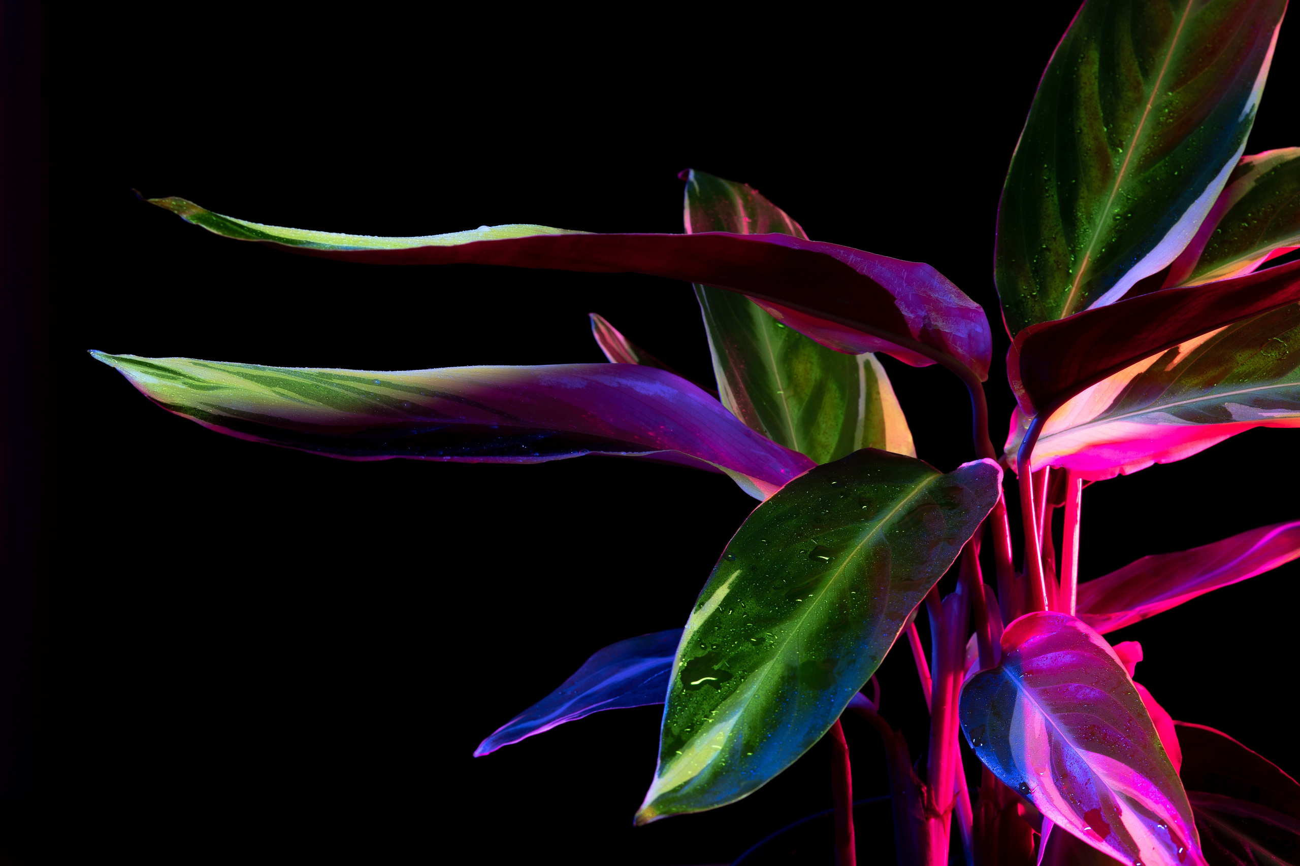 ПРЕДМЕТНАЯ. Никита Аничкин фото и видео оператор из России