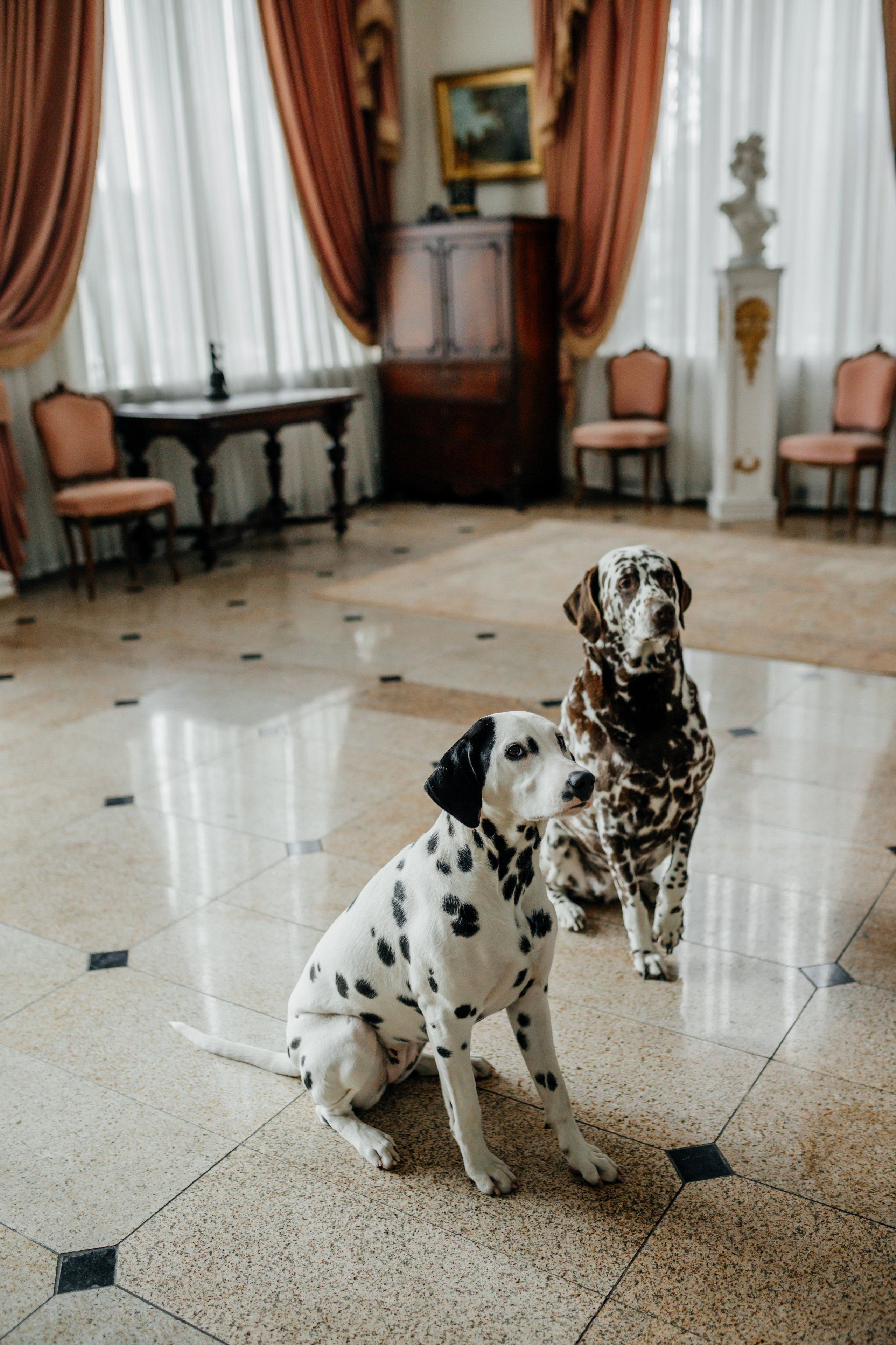 Дмитрий и Софья. Фотограф Краснодар
