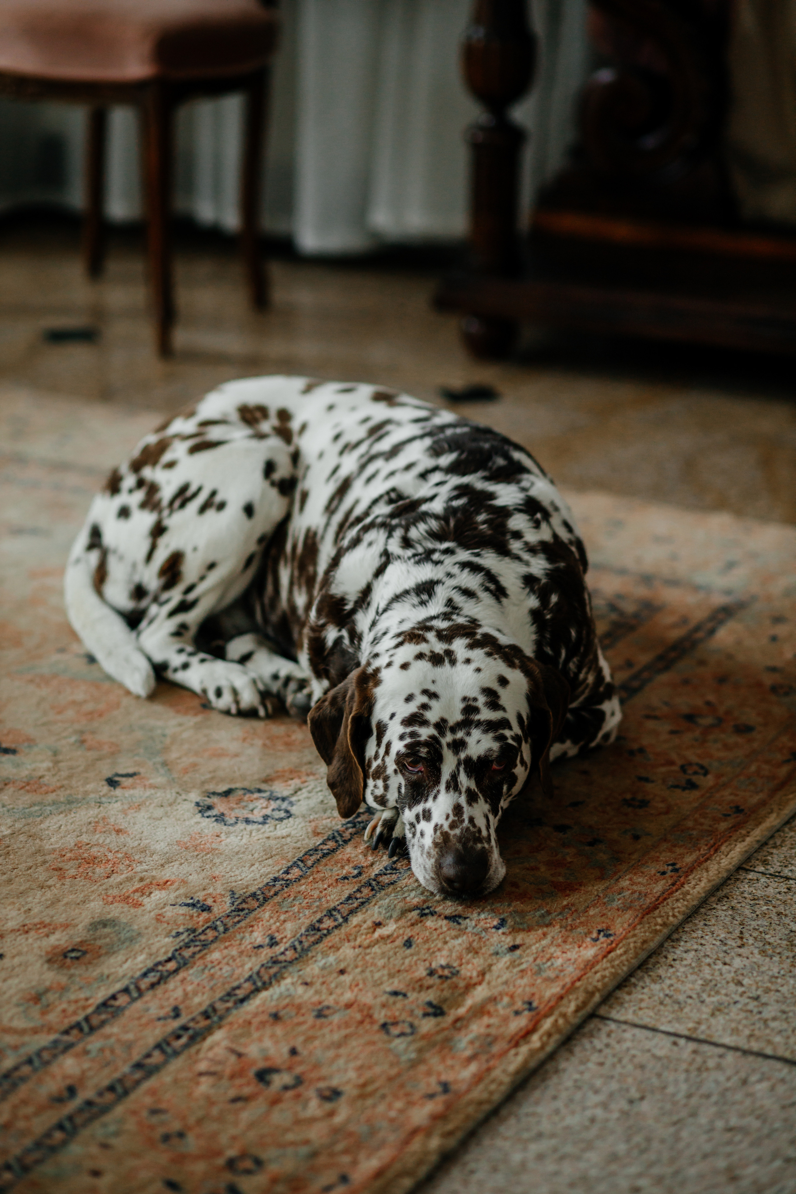 Дмитрий и Софья. Фотограф Краснодар