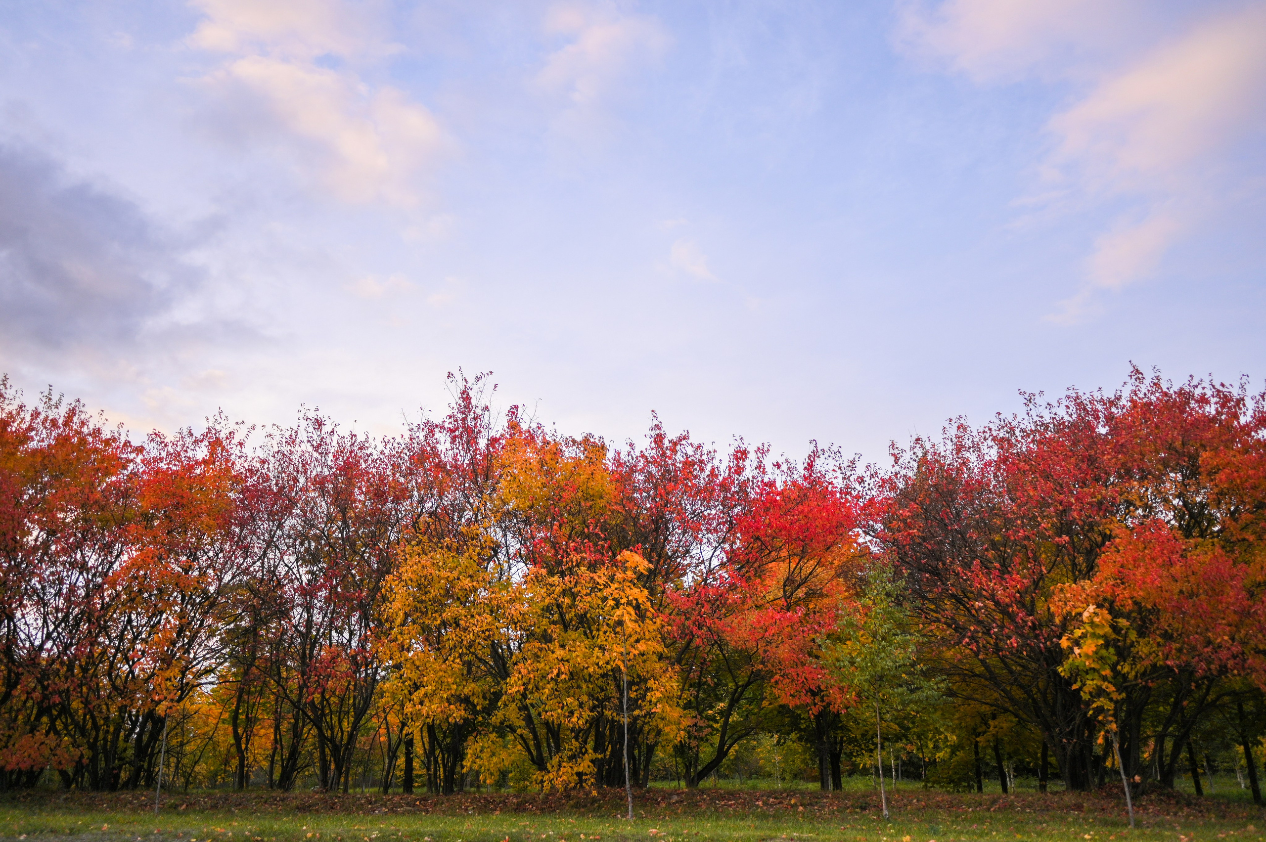 Фотодневник: в цвете. Фотограф Д. Куценков