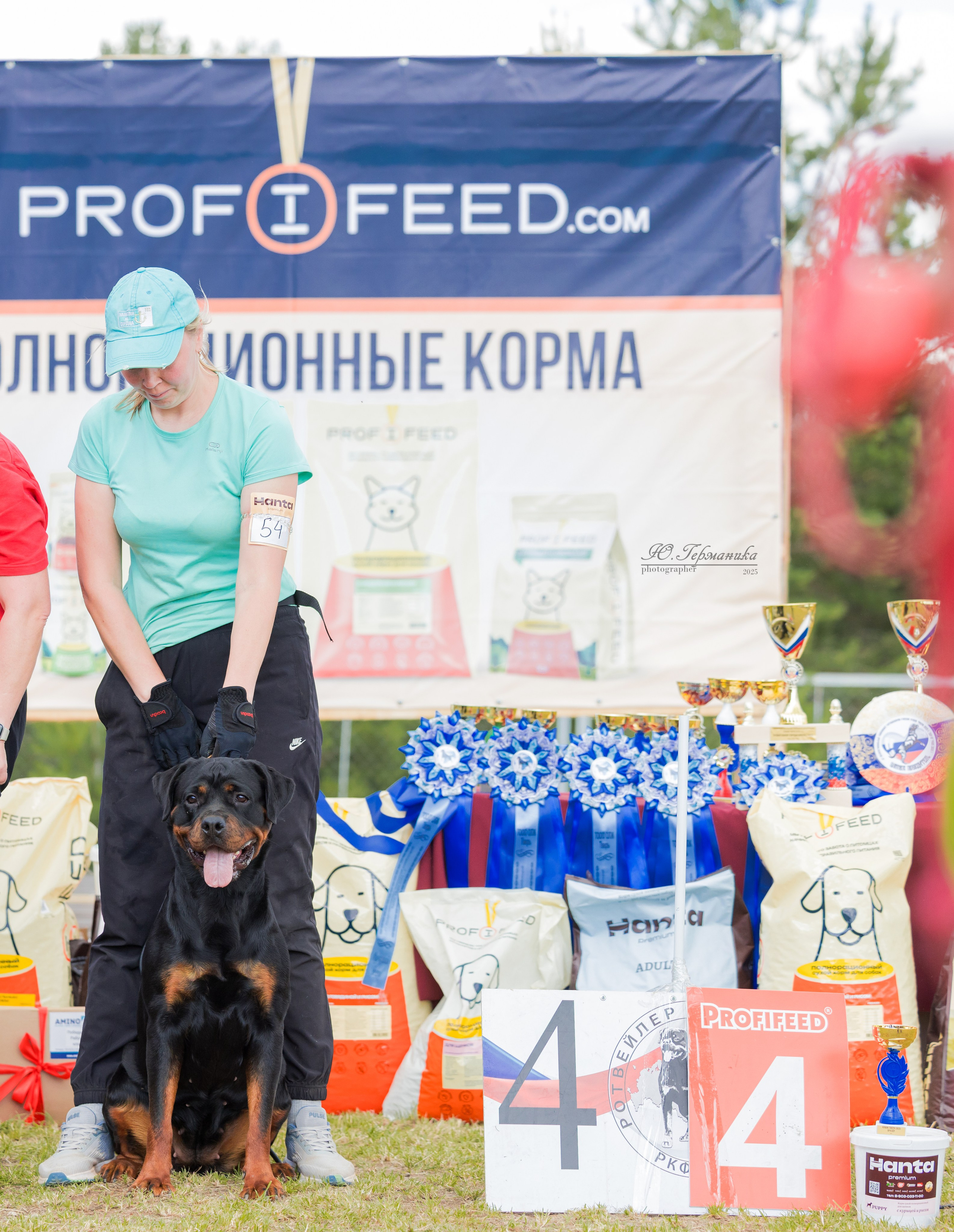 Тверь ротвейлеры 5-6.07.2025. Фотограф-анималист Юлия Германика