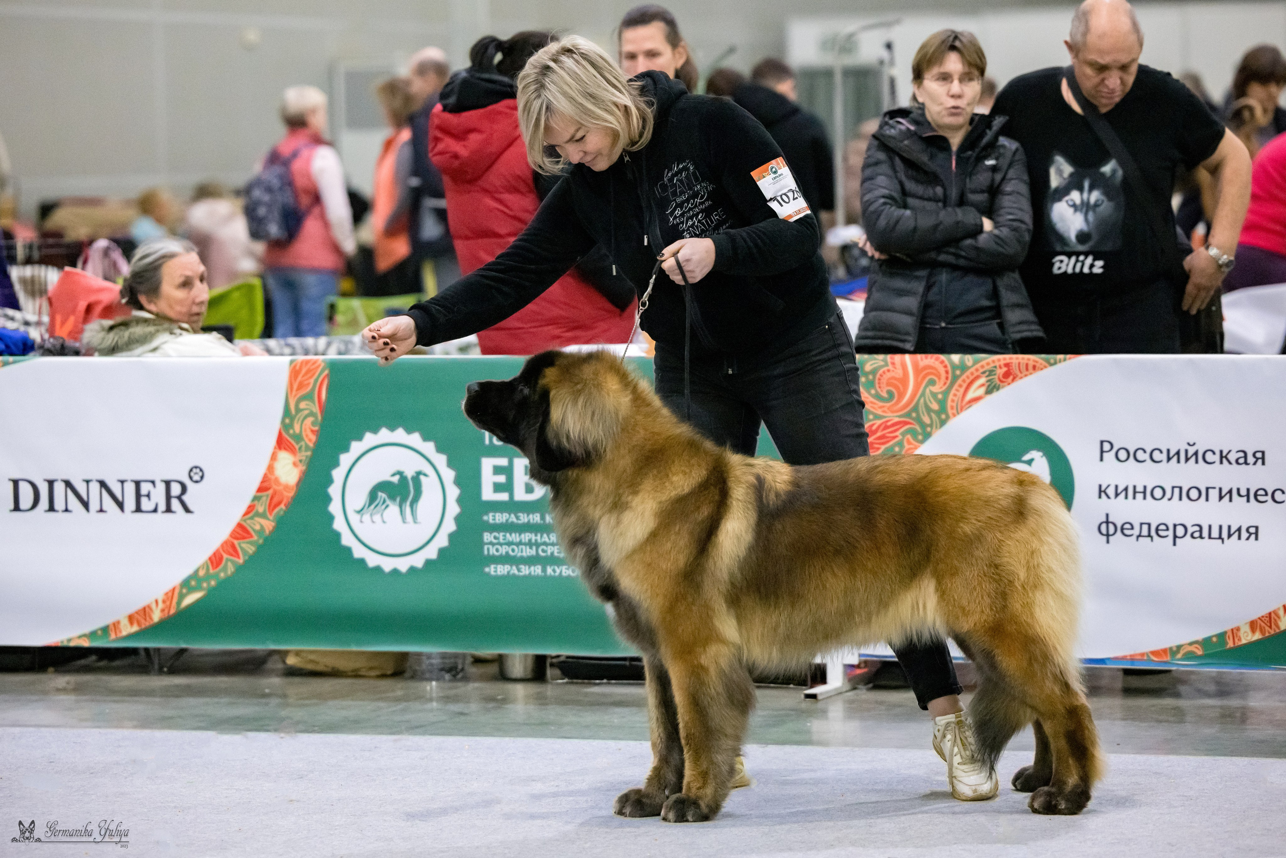 ЕВРАЗИЯ 18-19.11.2023. Фотограф-анималист Юлия Германика