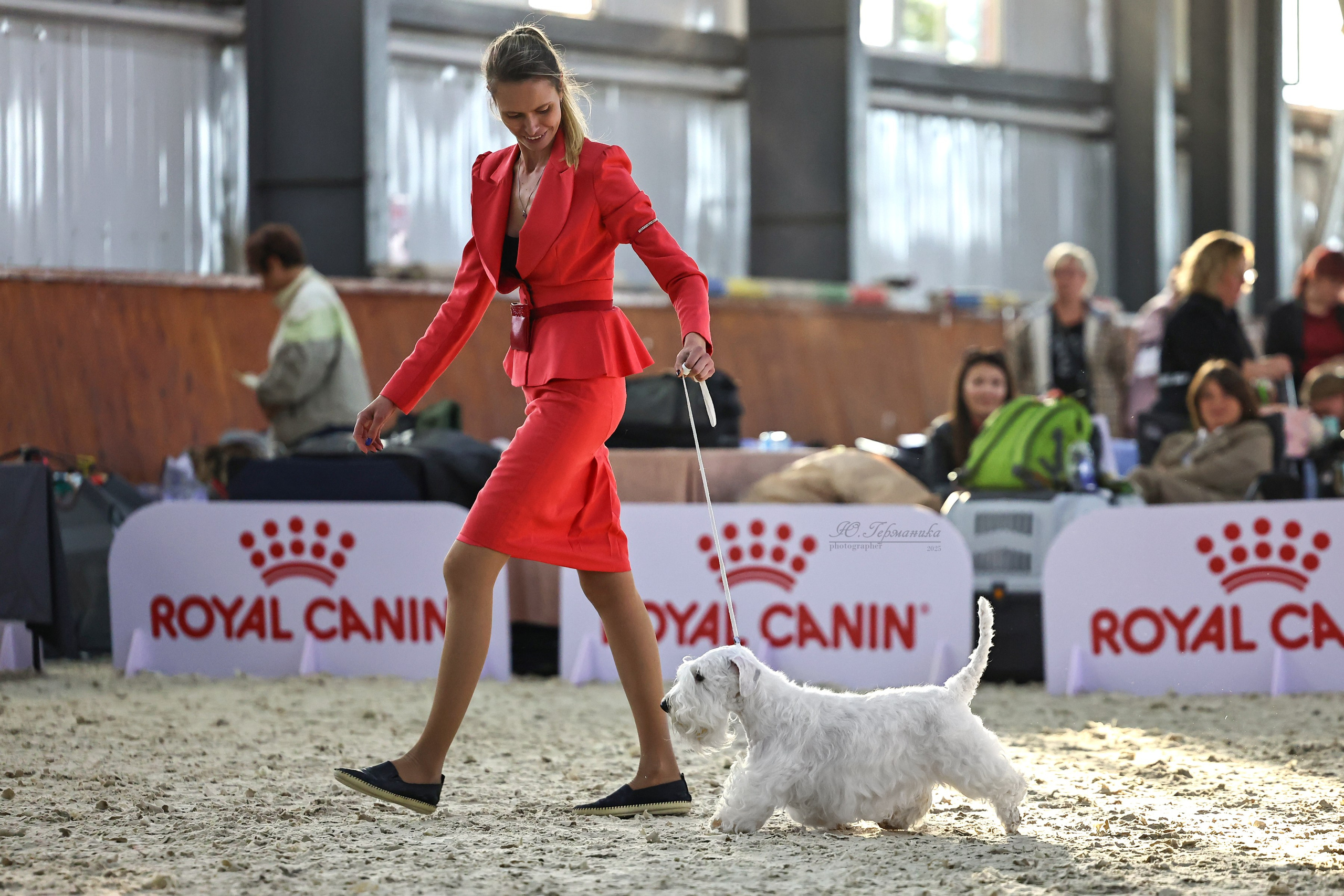 Астана 2хCACIB 26-28.09.2025. Фотограф-анималист Юлия Германика