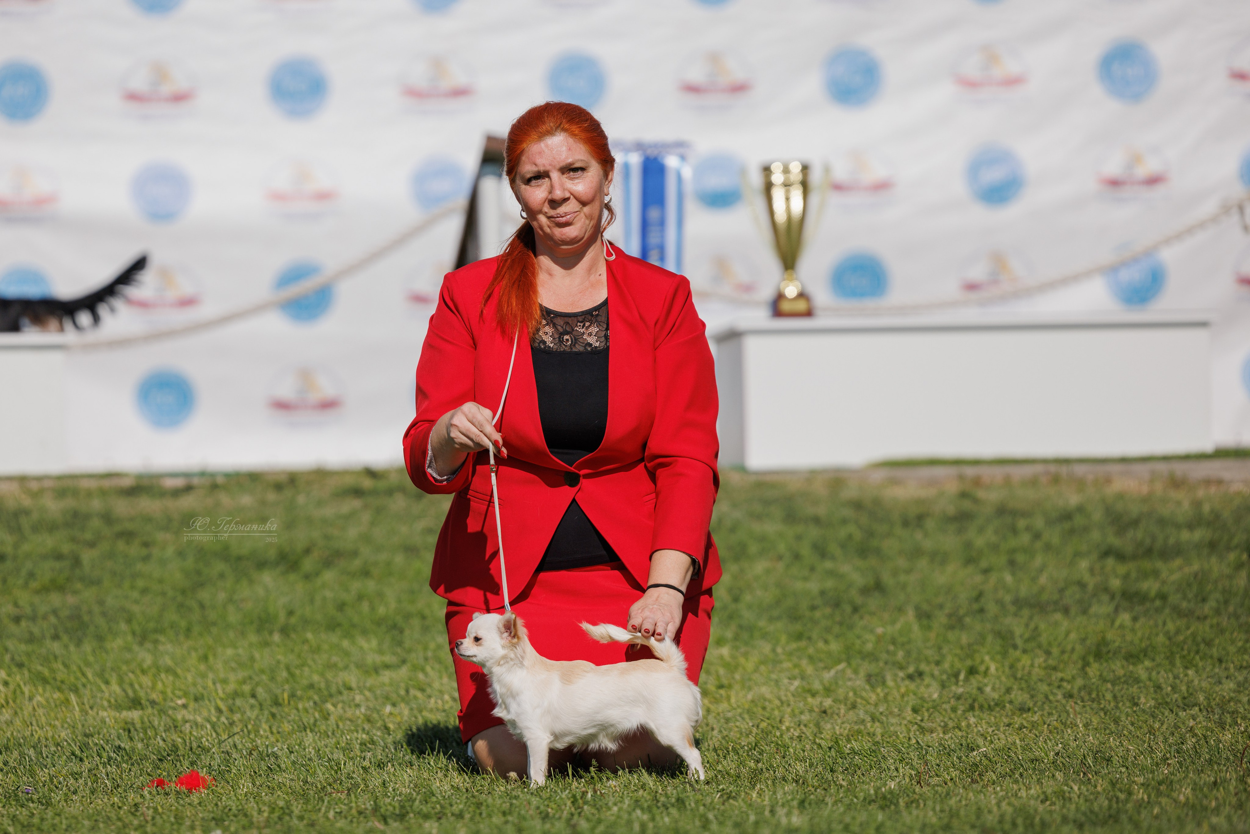 Ереван 14-16.10.2025. Фотограф-анималист Юлия Германика