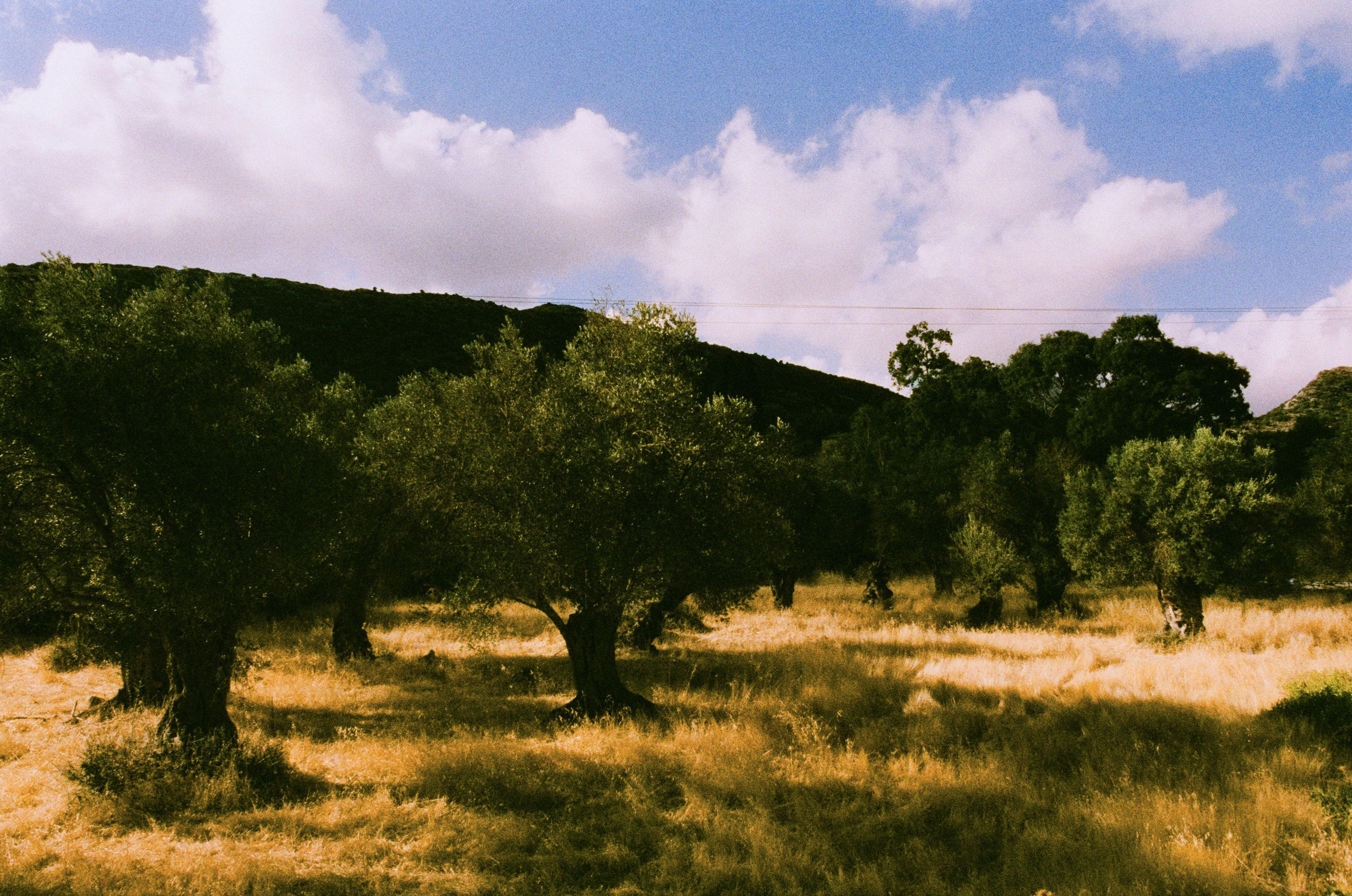 Shimmering scars // greece, naxos V. EVER EXPOSED