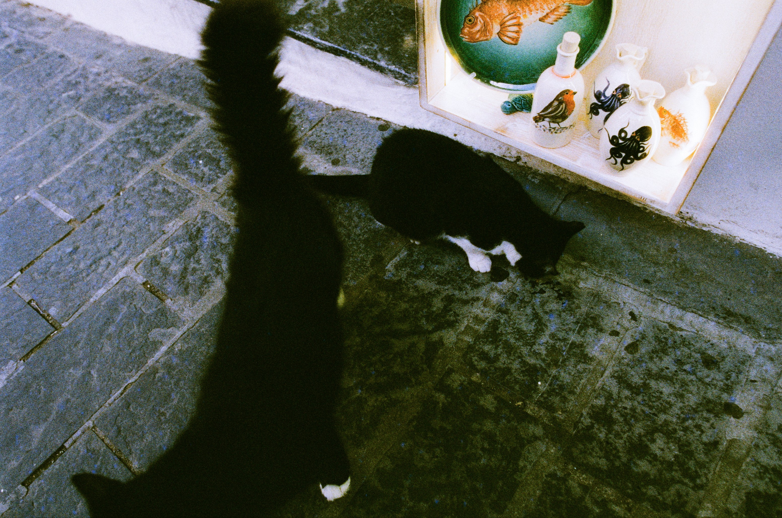 The sickness in you and i // greece, rhodes IV. EVER EXPOSED