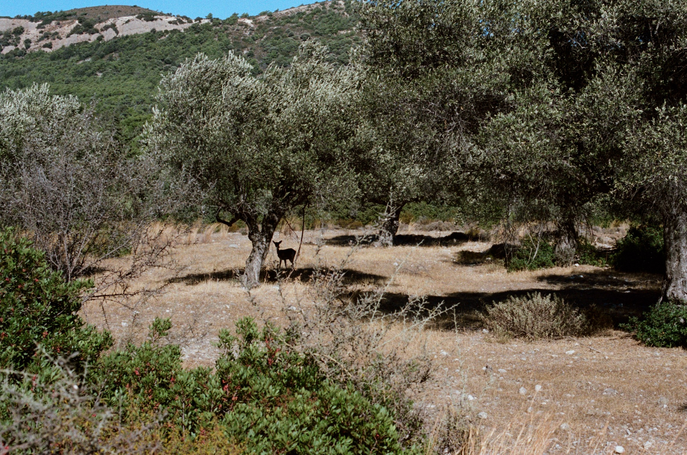 The sickness in you and i // greece, rhodes V. EVER EXPOSED