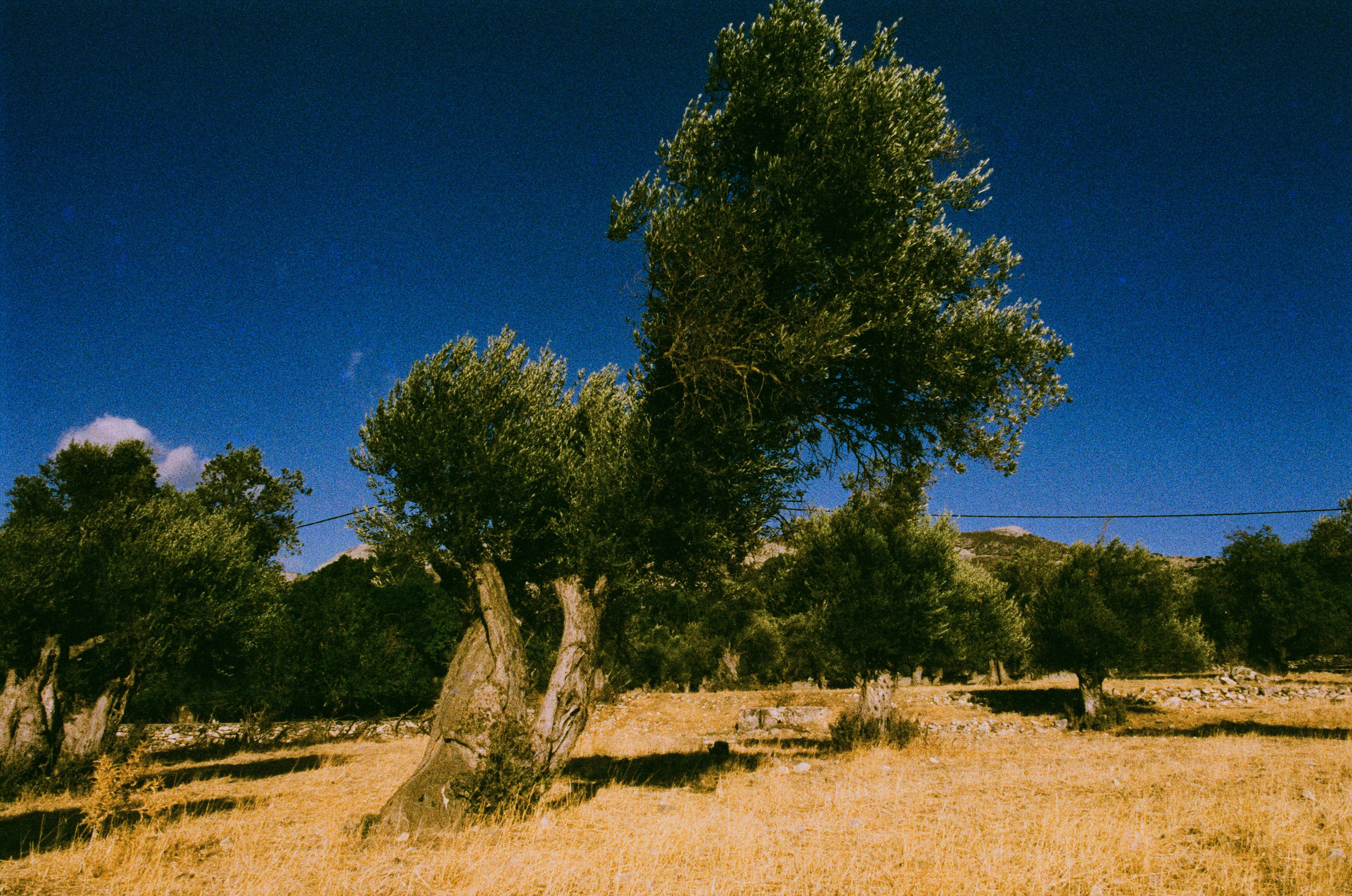 Shimmering scars // greece, naxos. EVER EXPOSED