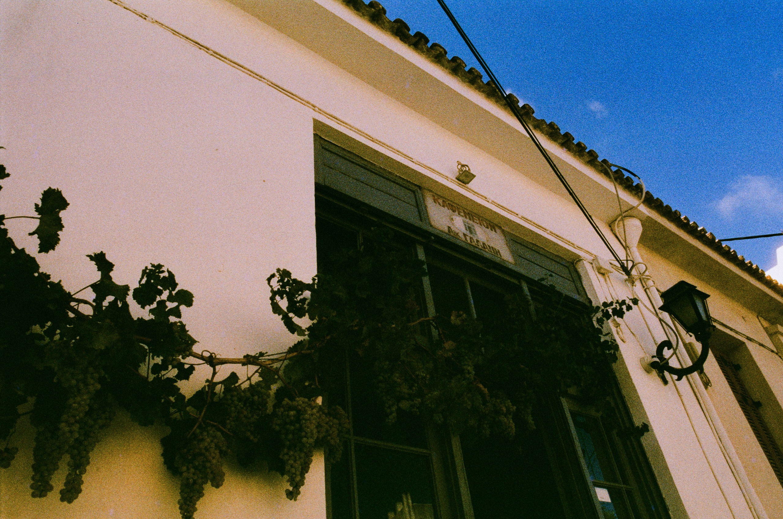 Shimmering scars // greece, naxos. EVER EXPOSED