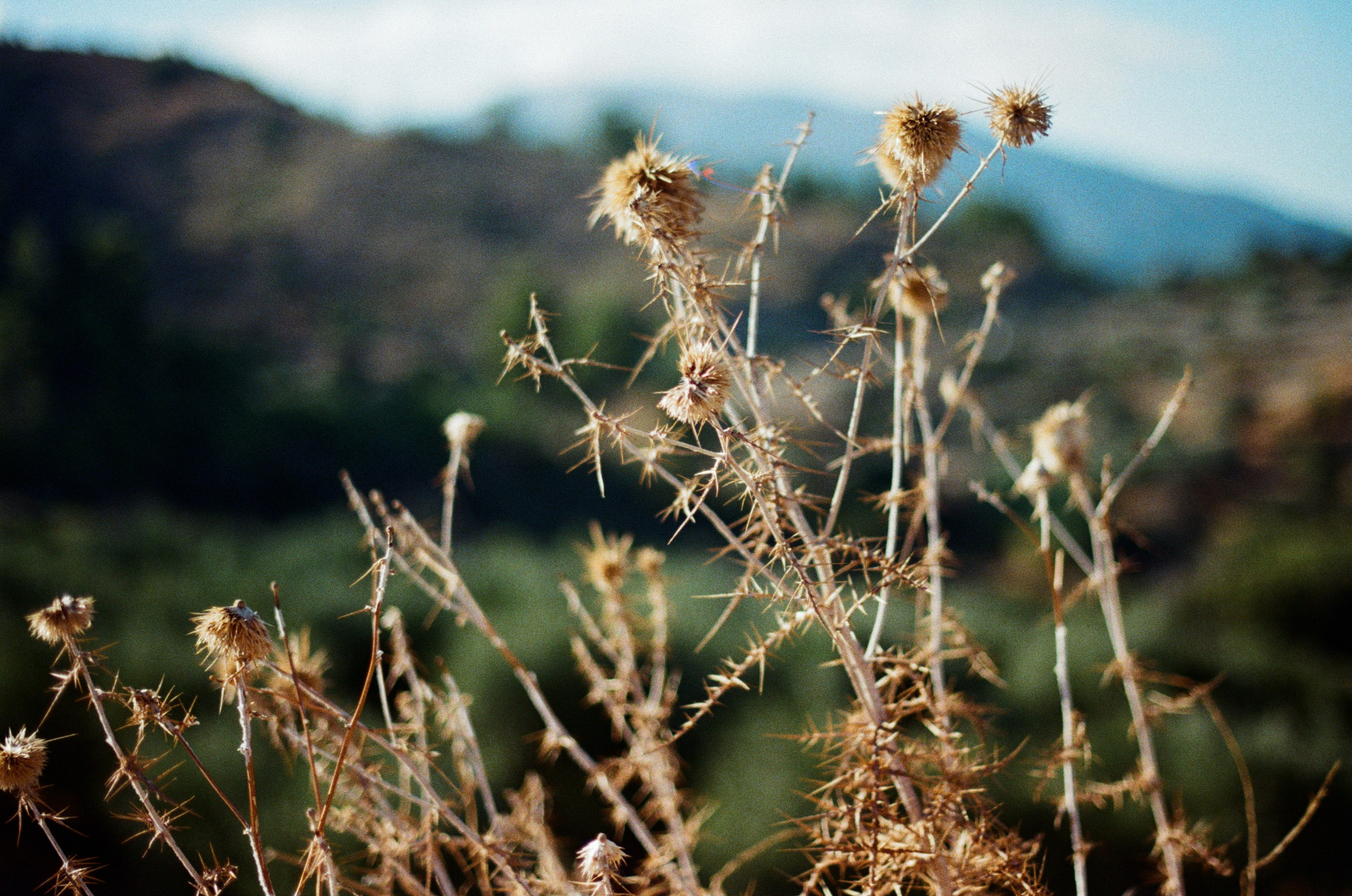 The sickness in you and i // greece, rhodes III. EVER EXPOSED