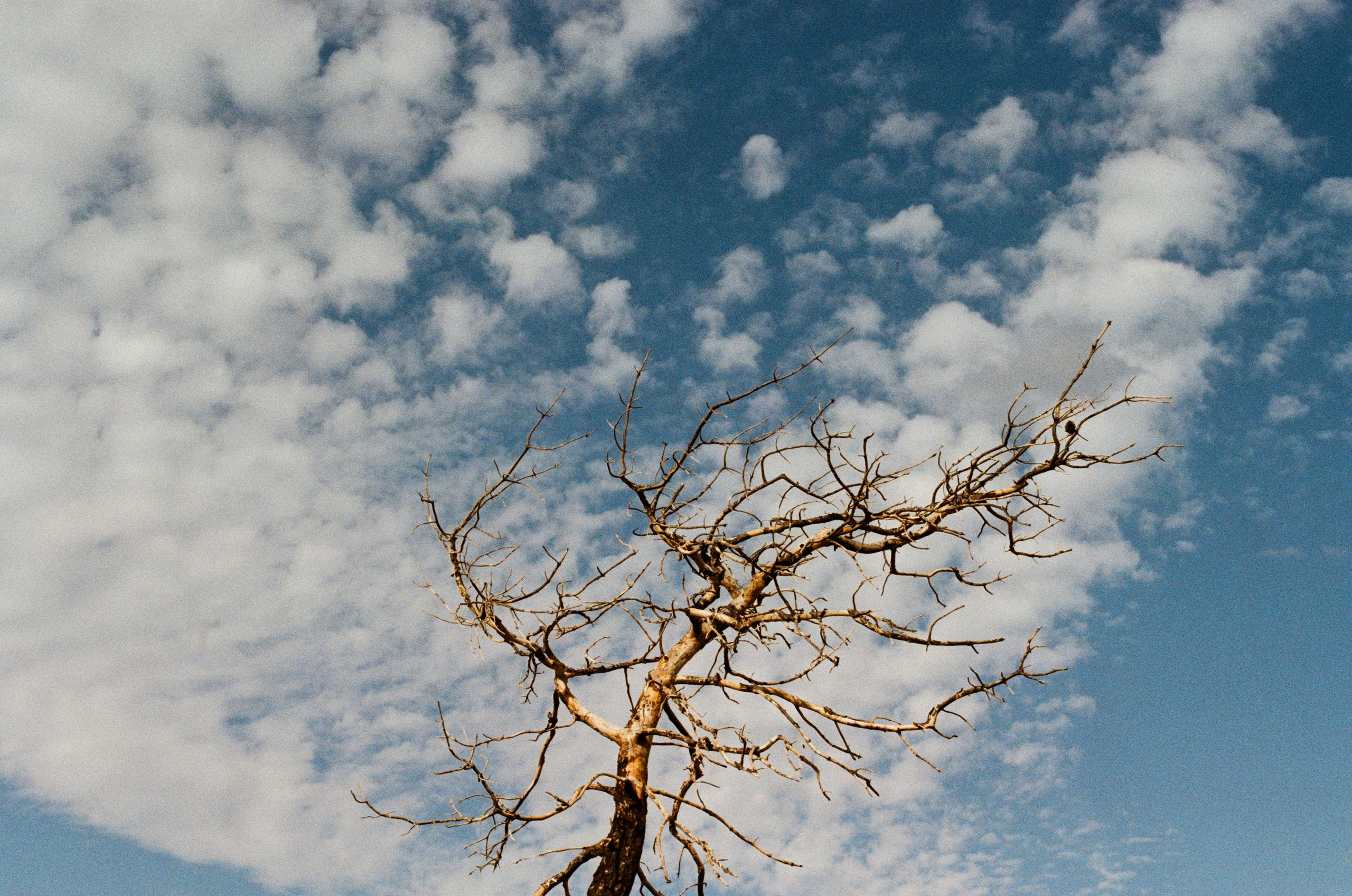 Cryogen // greece, rhodes II. EVER EXPOSED
