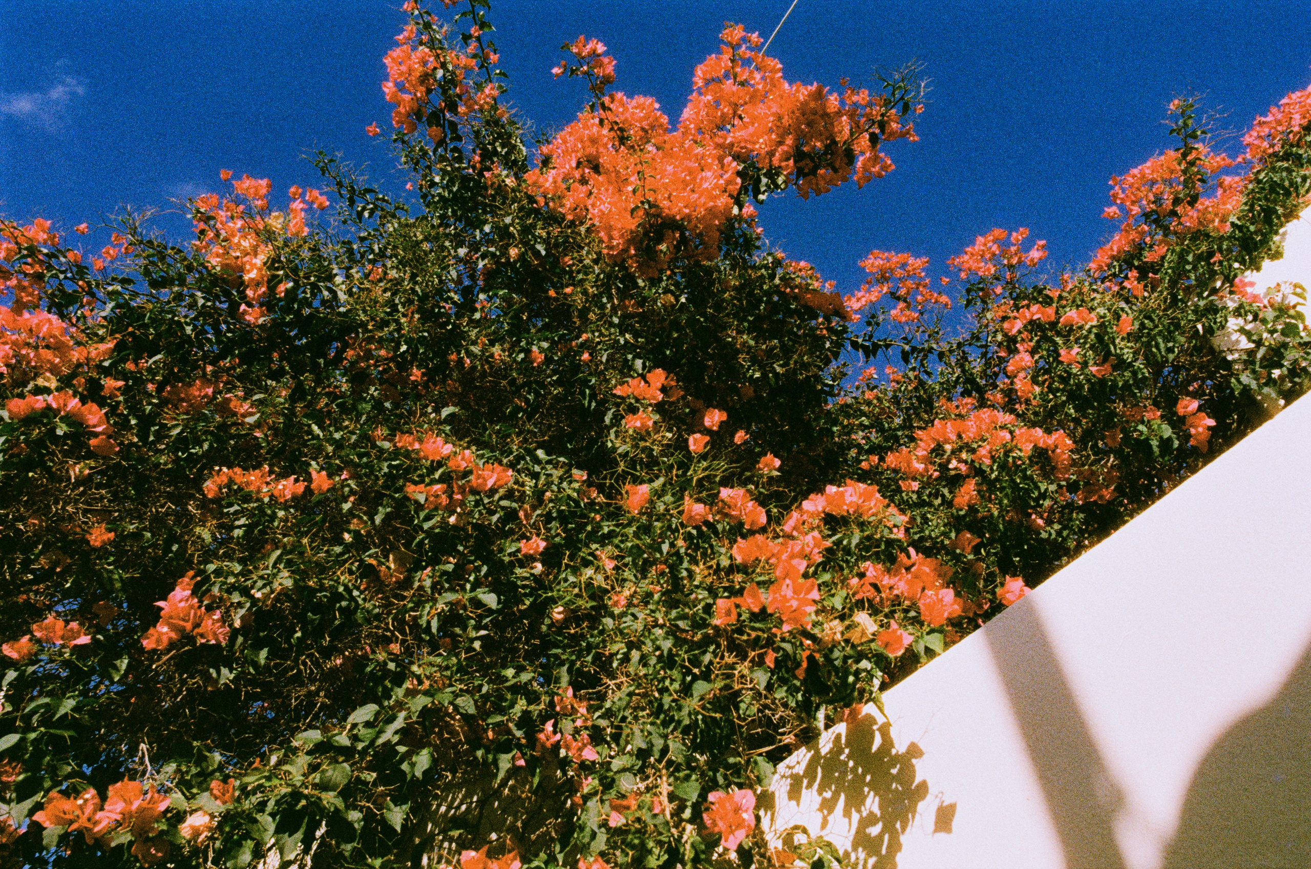 Shimmering scars // greece, naxos VII. EVER EXPOSED