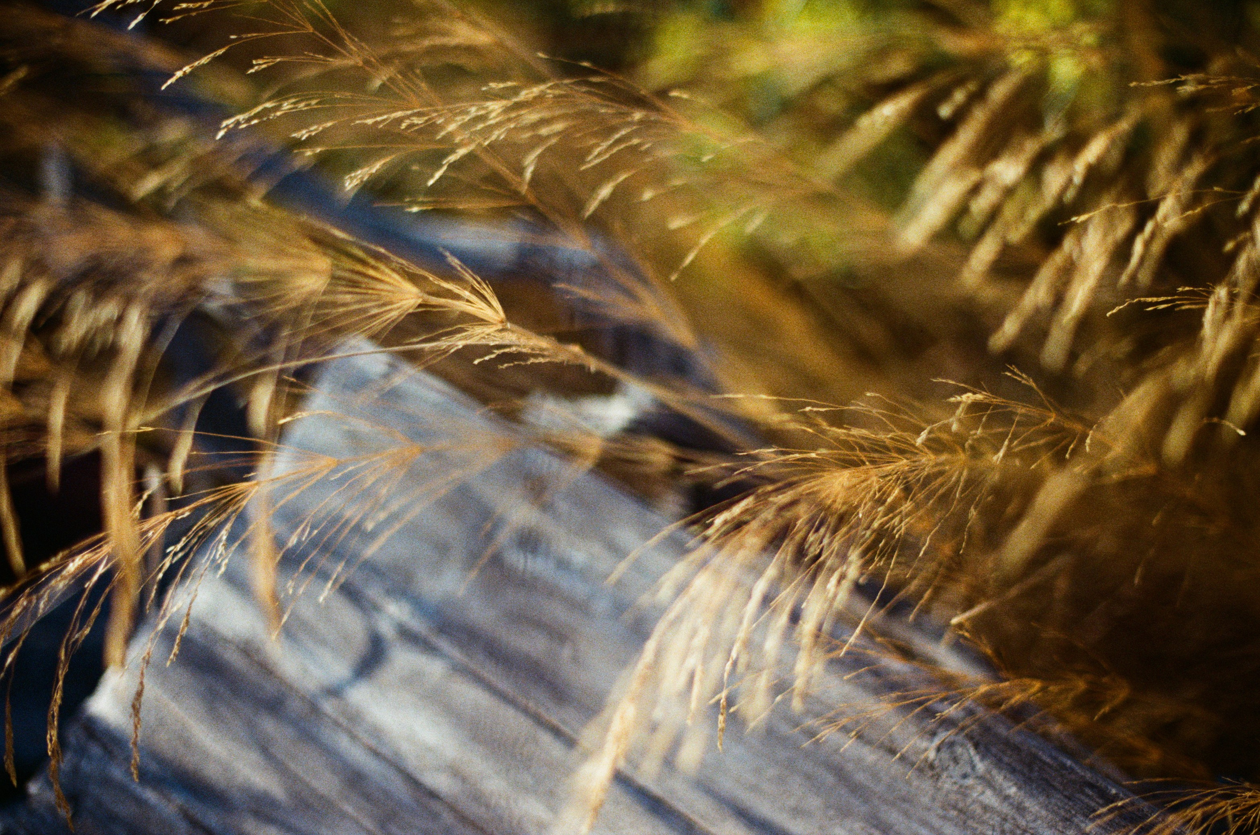 Shimmering scars // greece, naxos III. EVER EXPOSED