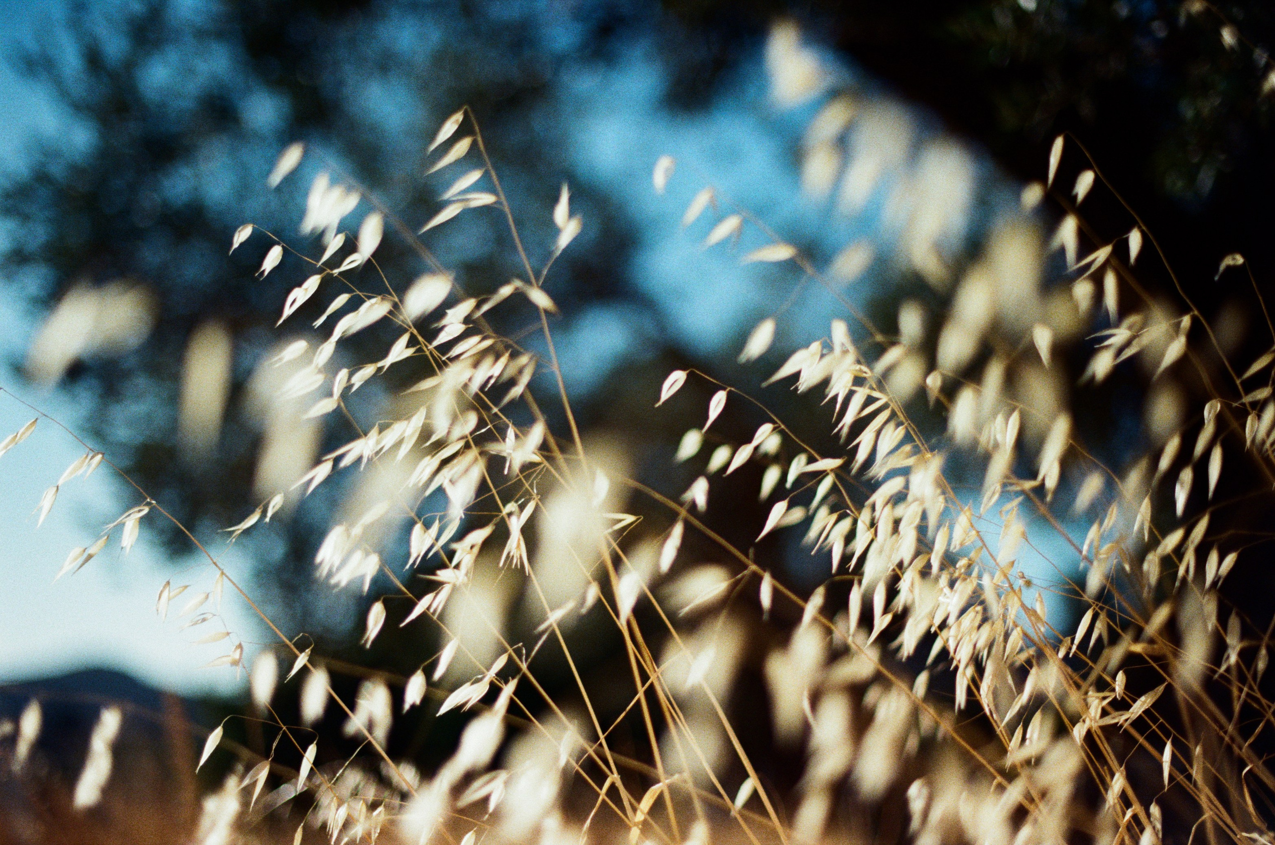 Shimmering scars // greece, naxos IV. EVER EXPOSED