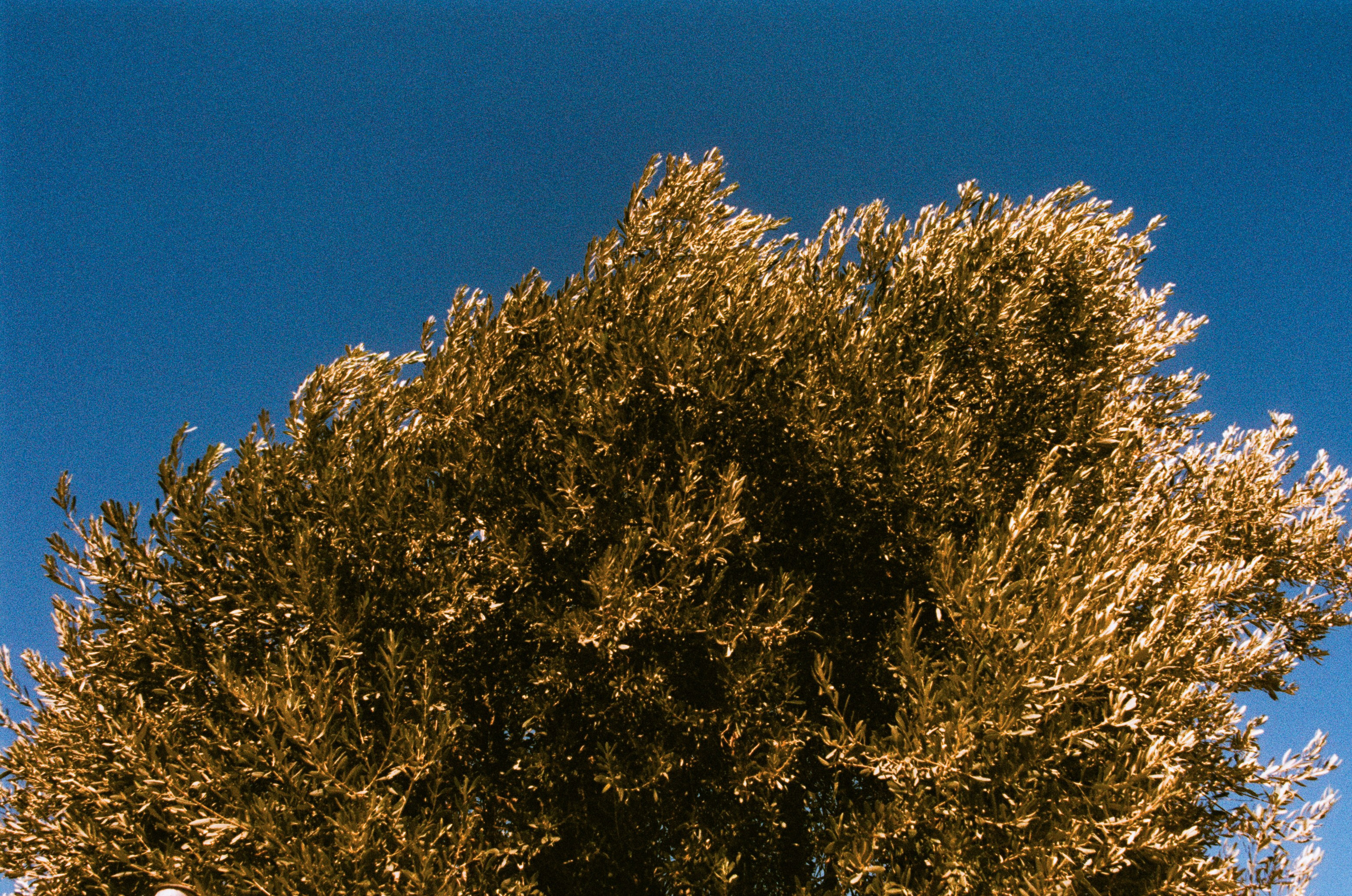 Cryogen // greece, rhodes VI. EVER EXPOSED